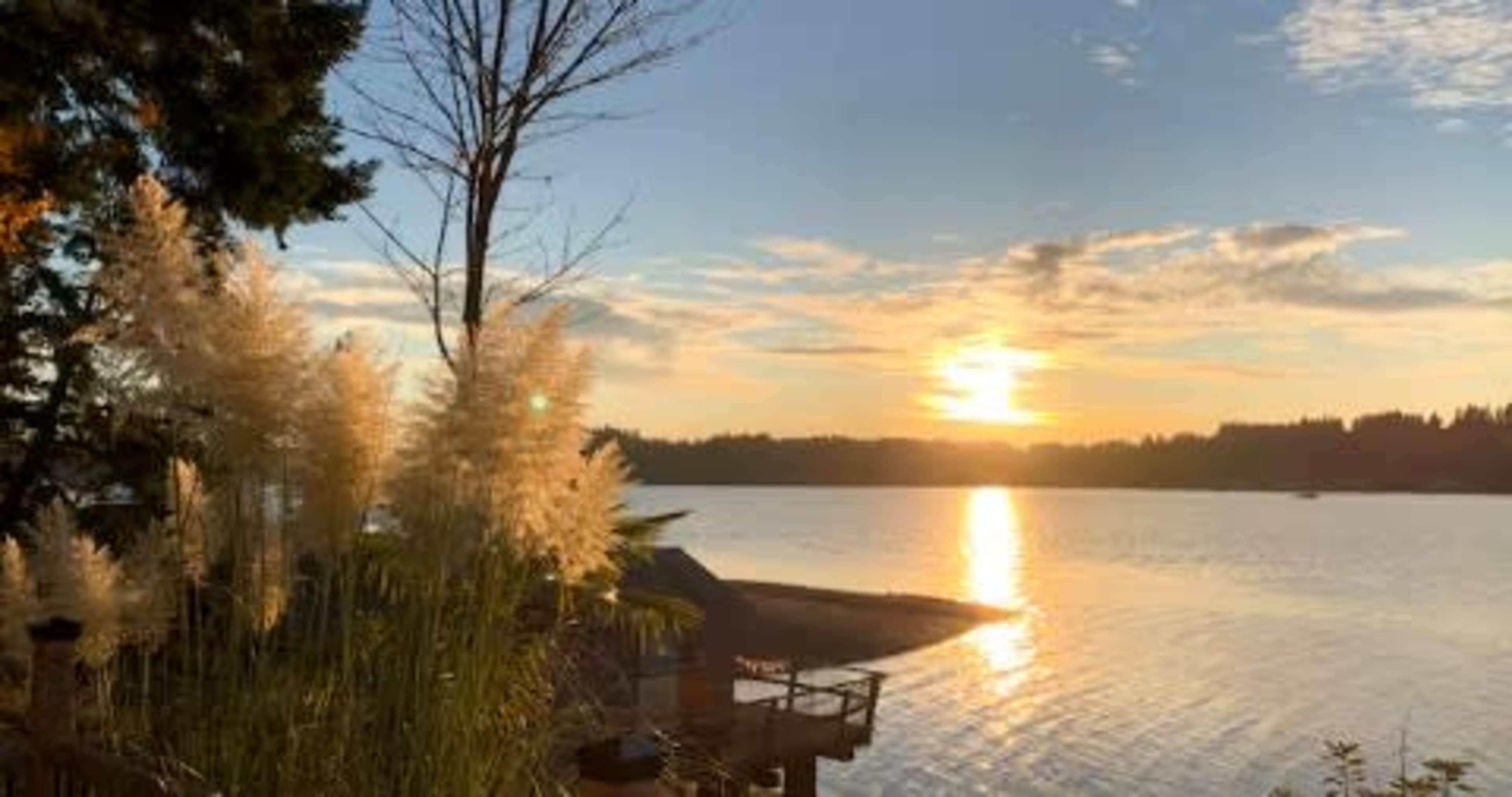 The image shows a serene lakeside view at sunset, with tall grass in the foreground and reflections of the sun on the water's surface.