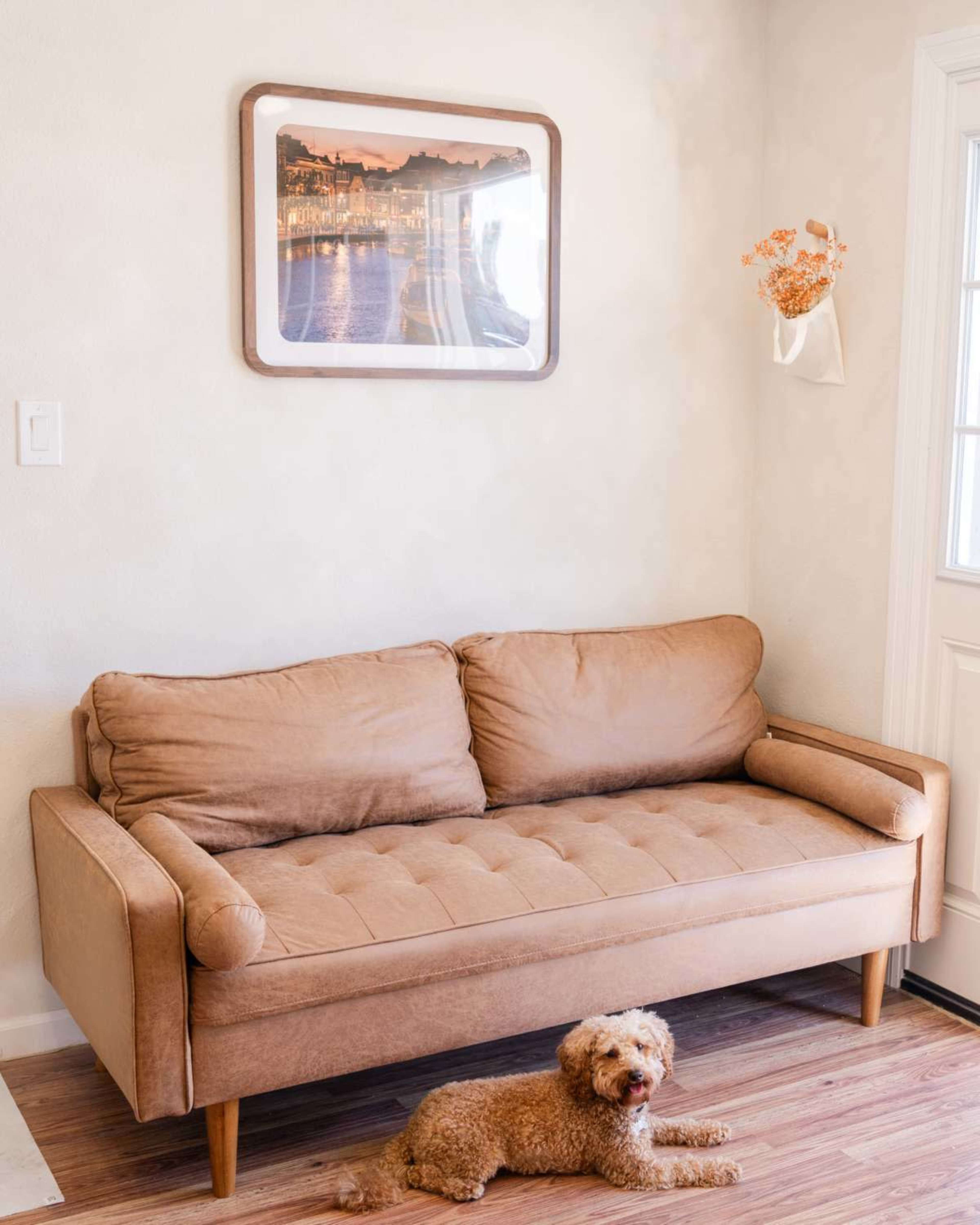 A brown sofa sits against a light-colored wall, with a picture framed above it and a small dog lying on the floor nearby.