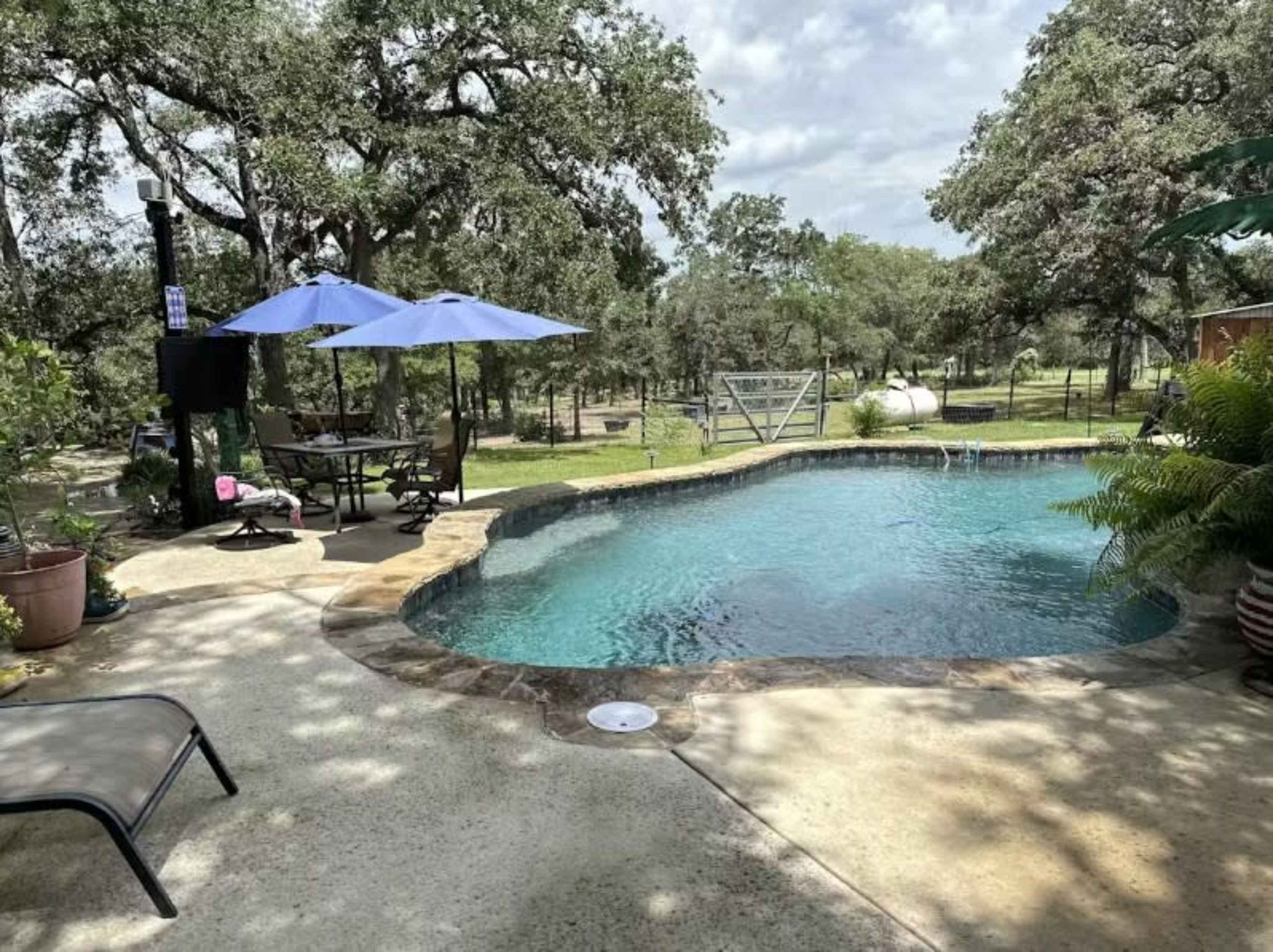 The image shows a backyard swimming pool surrounded by trees, with patio furniture and umbrellas nearby.