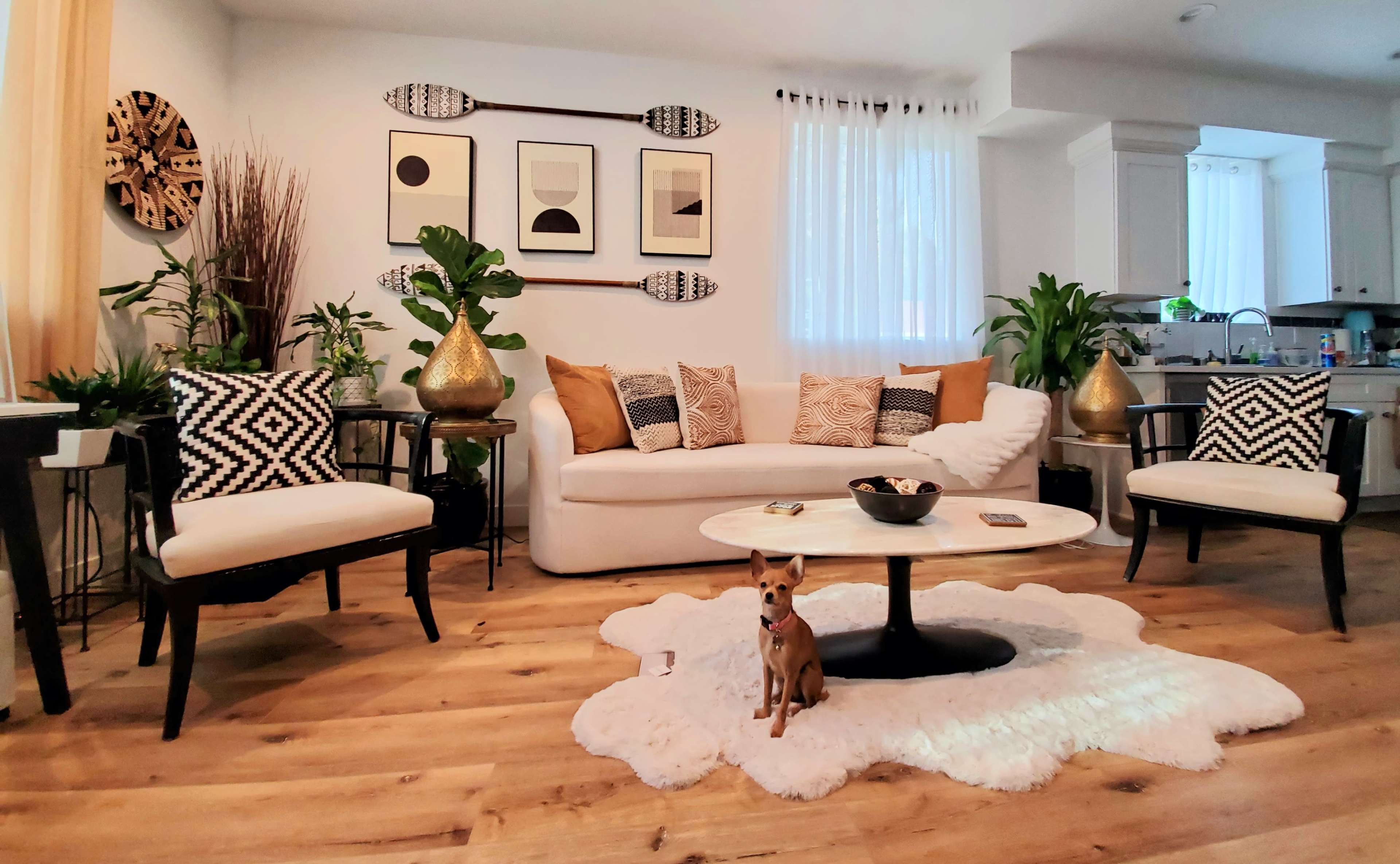 A modern living room features a white sofa and patterned chairs arranged around a circular table, with a small dog sitting on a fluffy white rug surrounded by plants and decorative items.