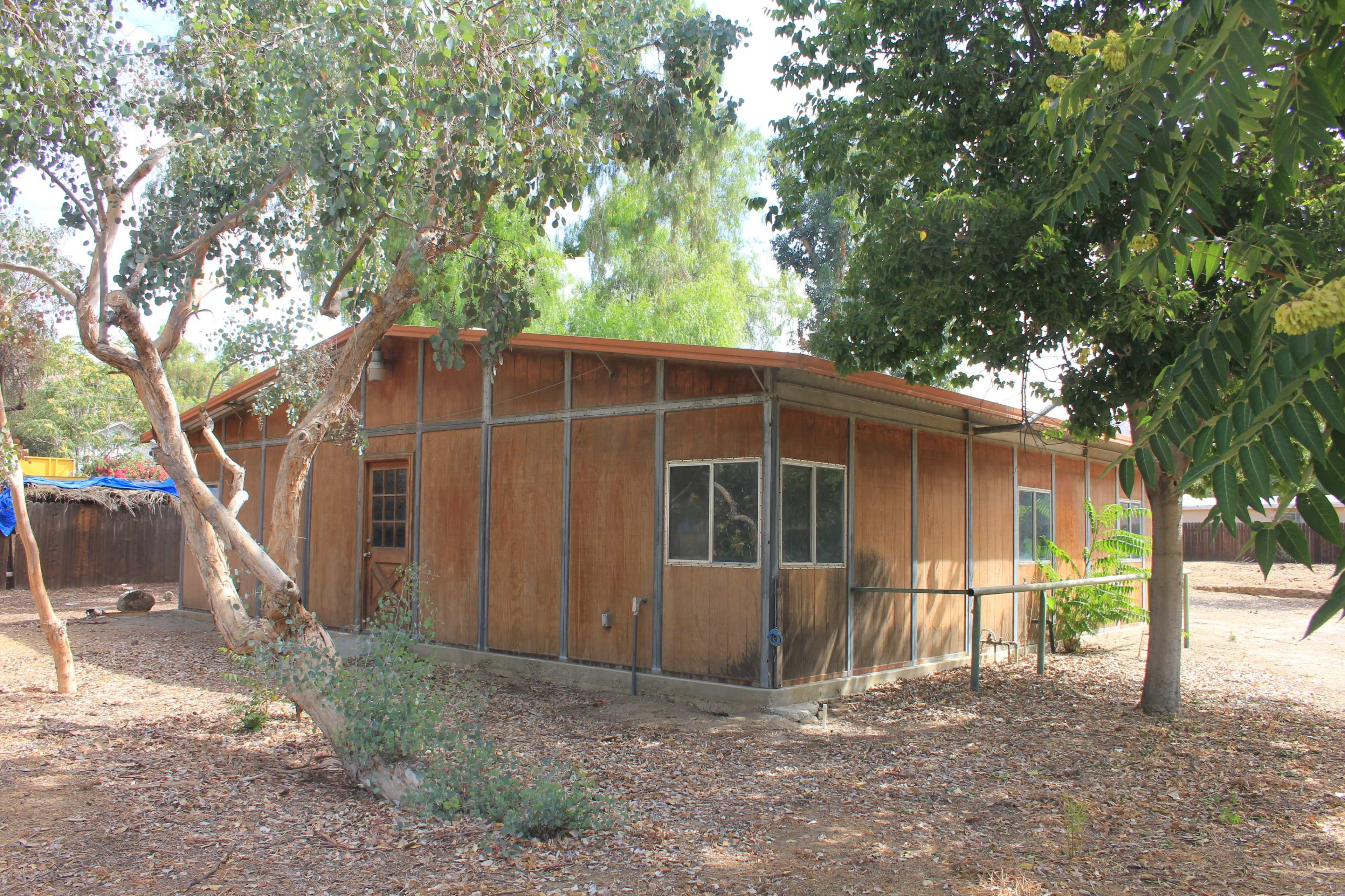 A wooden, single-story house with a slanted roof is surrounded by trees in a yard covered with dry leaves.