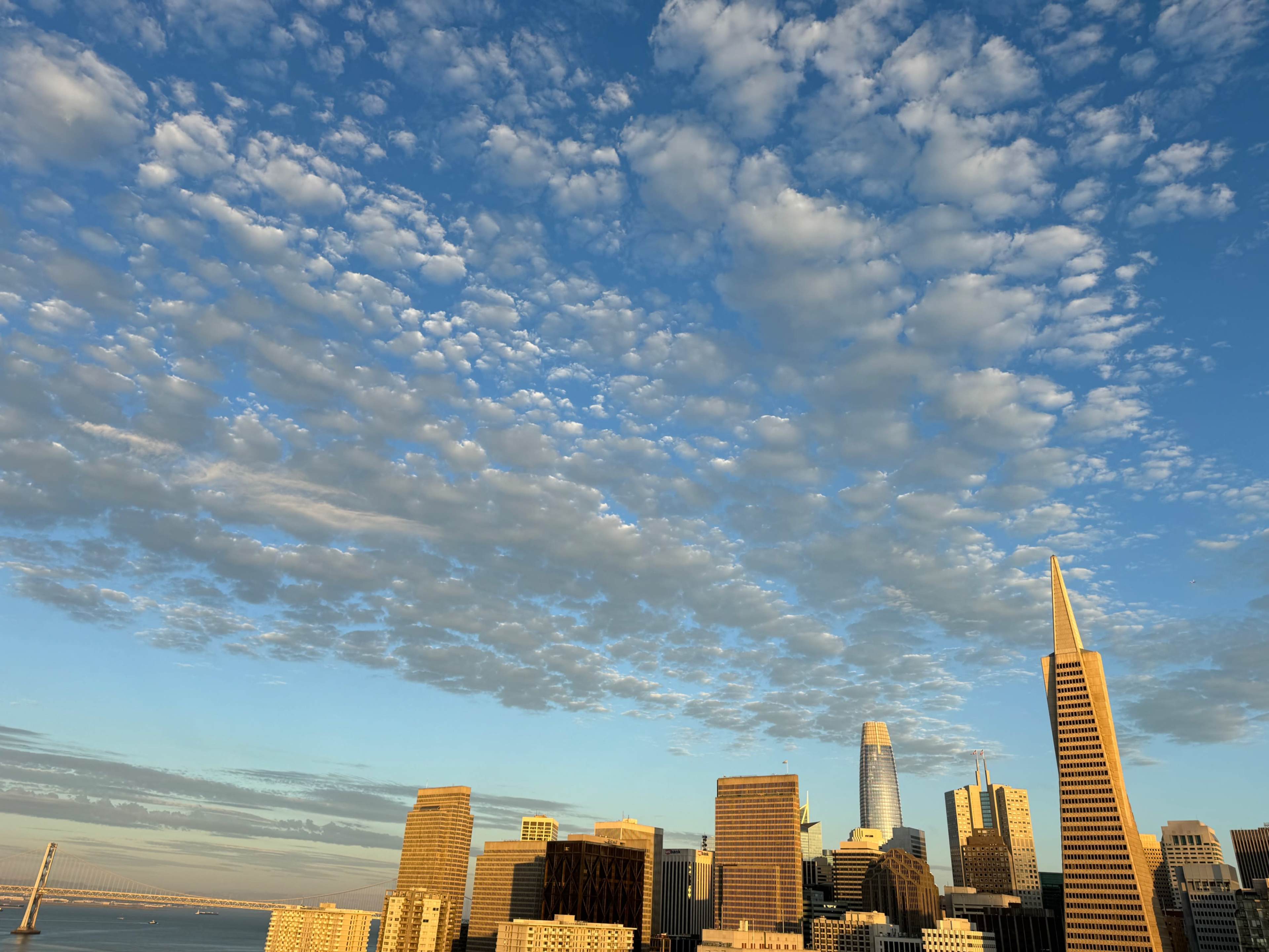 A skyline of tall buildings in a city with a clear blue sky filled with scattered clouds.