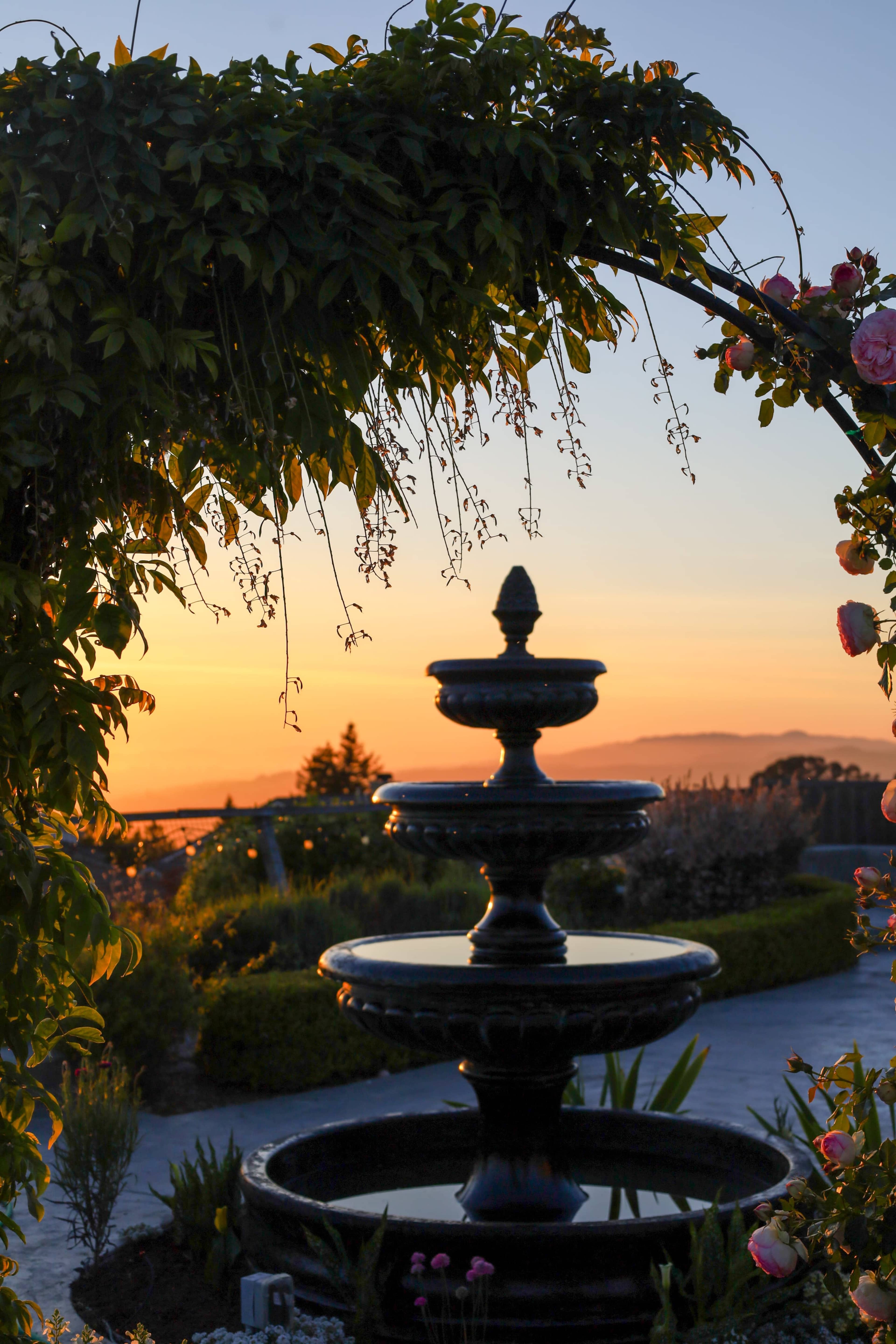 A silhouette of a three-tiered fountain framed by plants and flowers against a sunset sky.