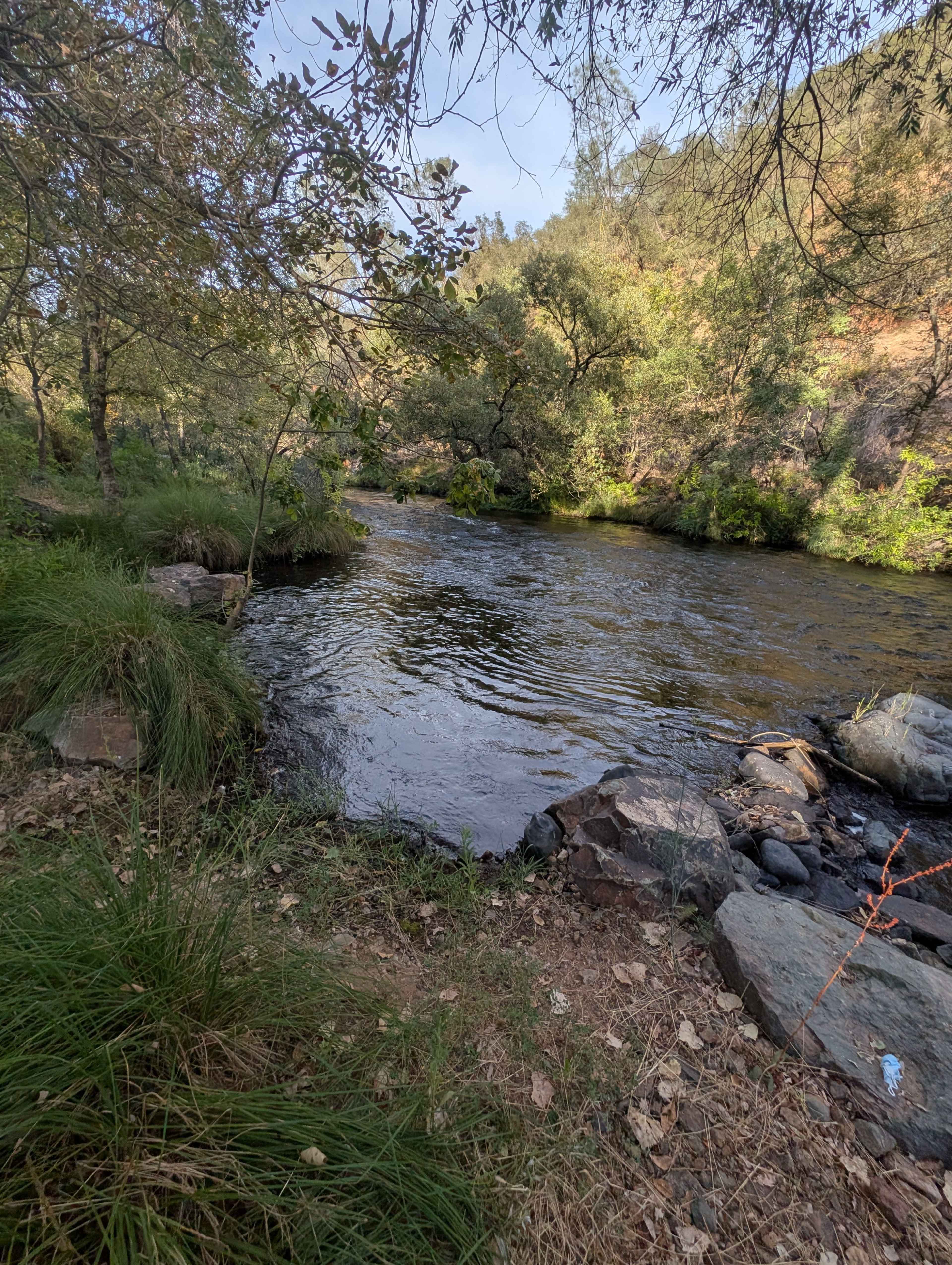 A calm river flows through a wooded area with rocks and greenery along its banks.