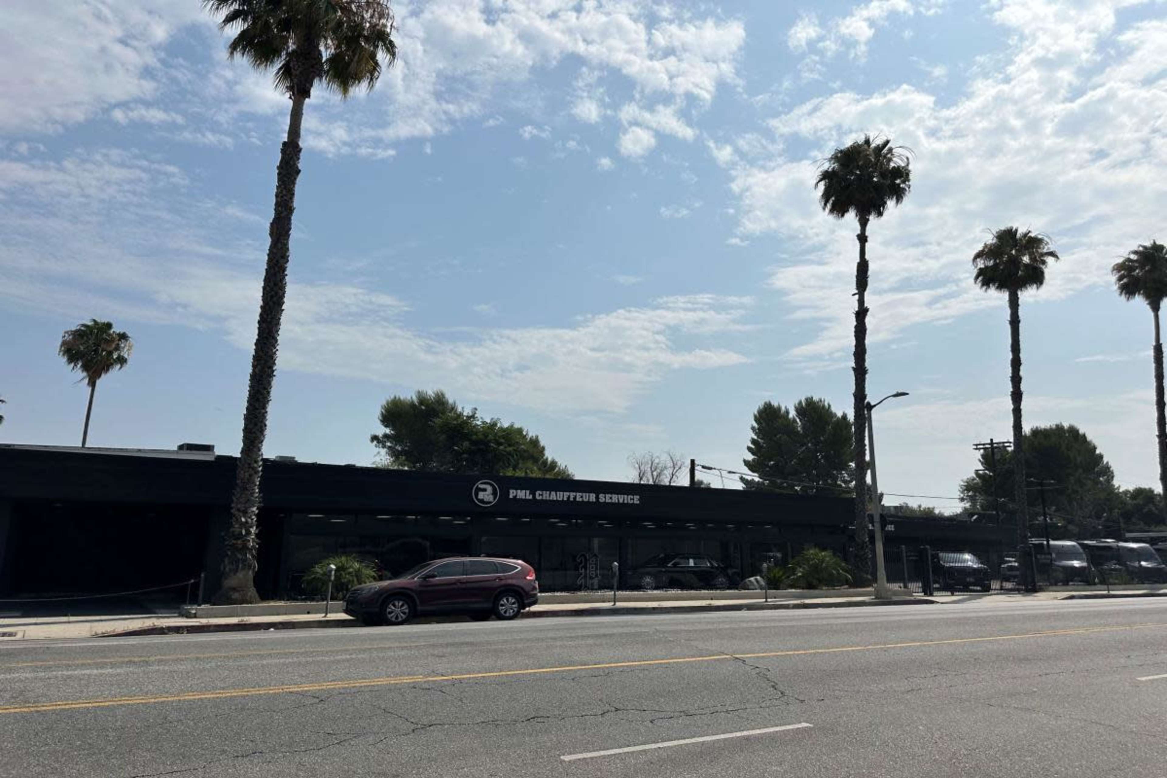 A computer service shop with palm trees stands alongside a street under a partly cloudy sky.