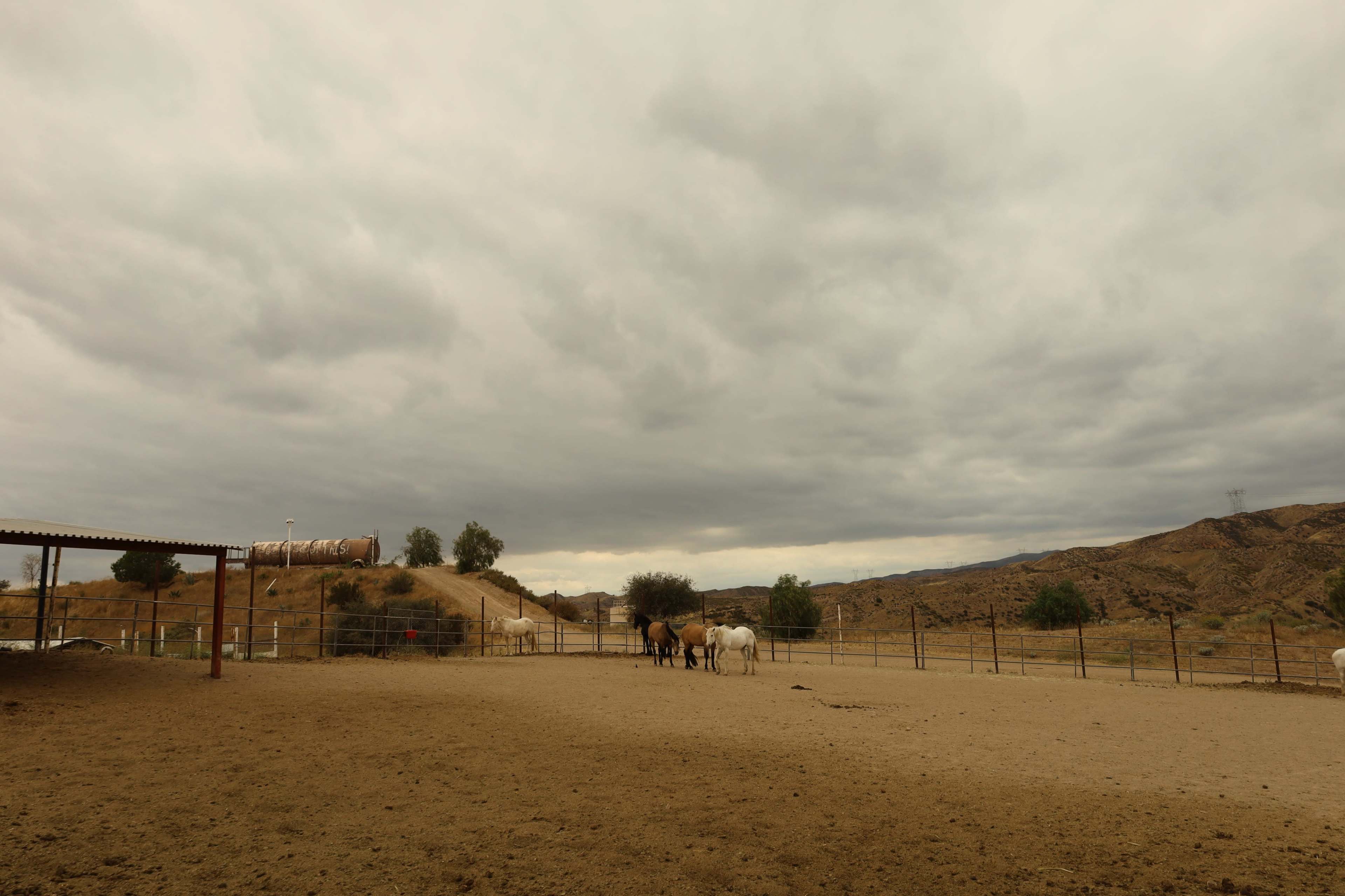 A group of horses stands in a dusty corral under an overcast sky, with hills and a tank in the background.