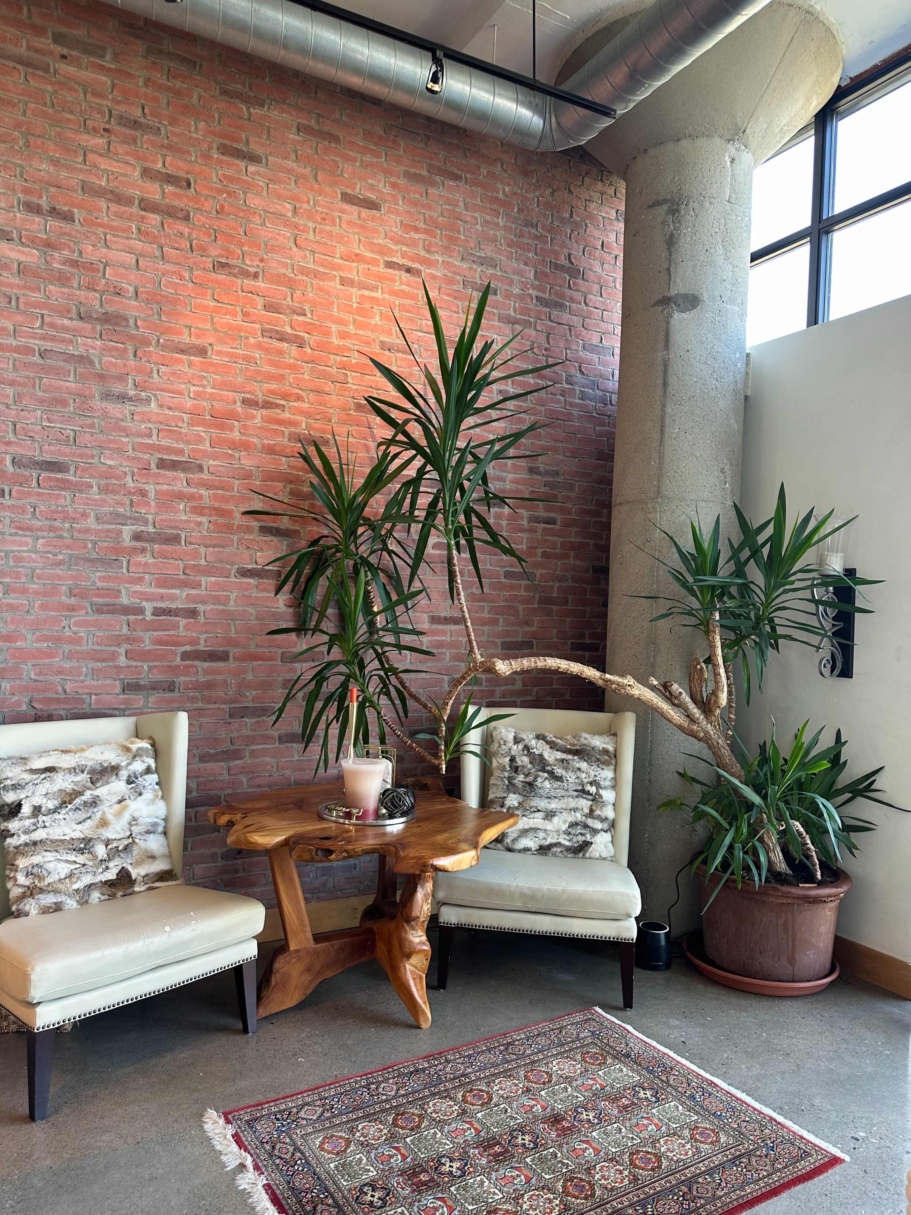 The image shows a cozy seating area with two upholstered chairs, a wooden table, and potted plants against a brick wall.