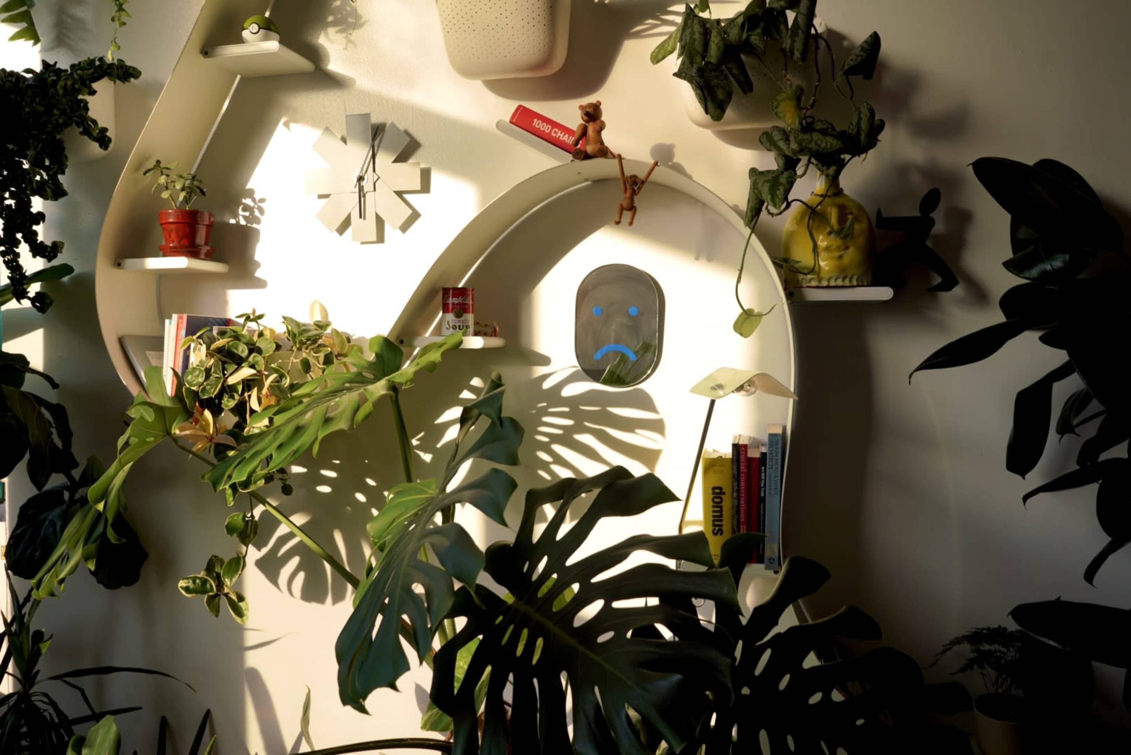 The image shows a white wall adorned with shelves filled with plants, books, and decorative items, featuring a window with a sad face drawn on it.