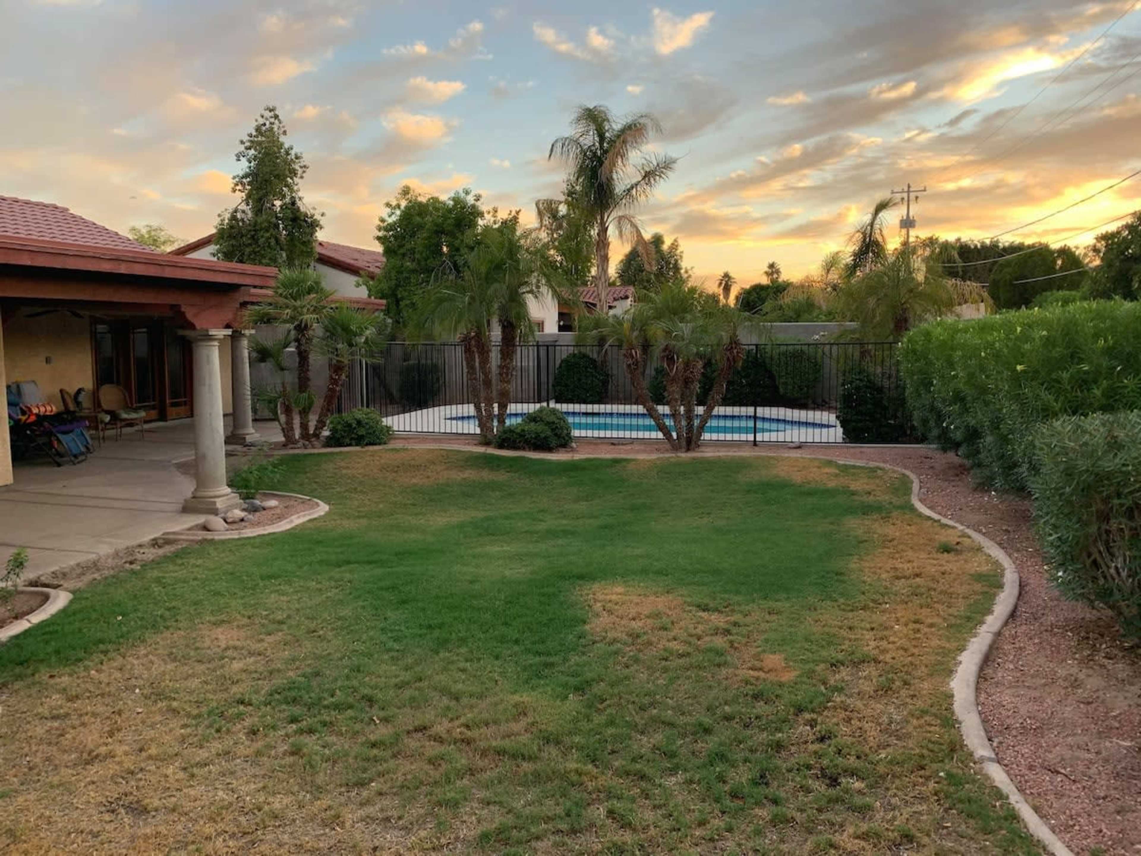 A backyard with grass, palm trees, and a fenced swimming pool under a sunset.