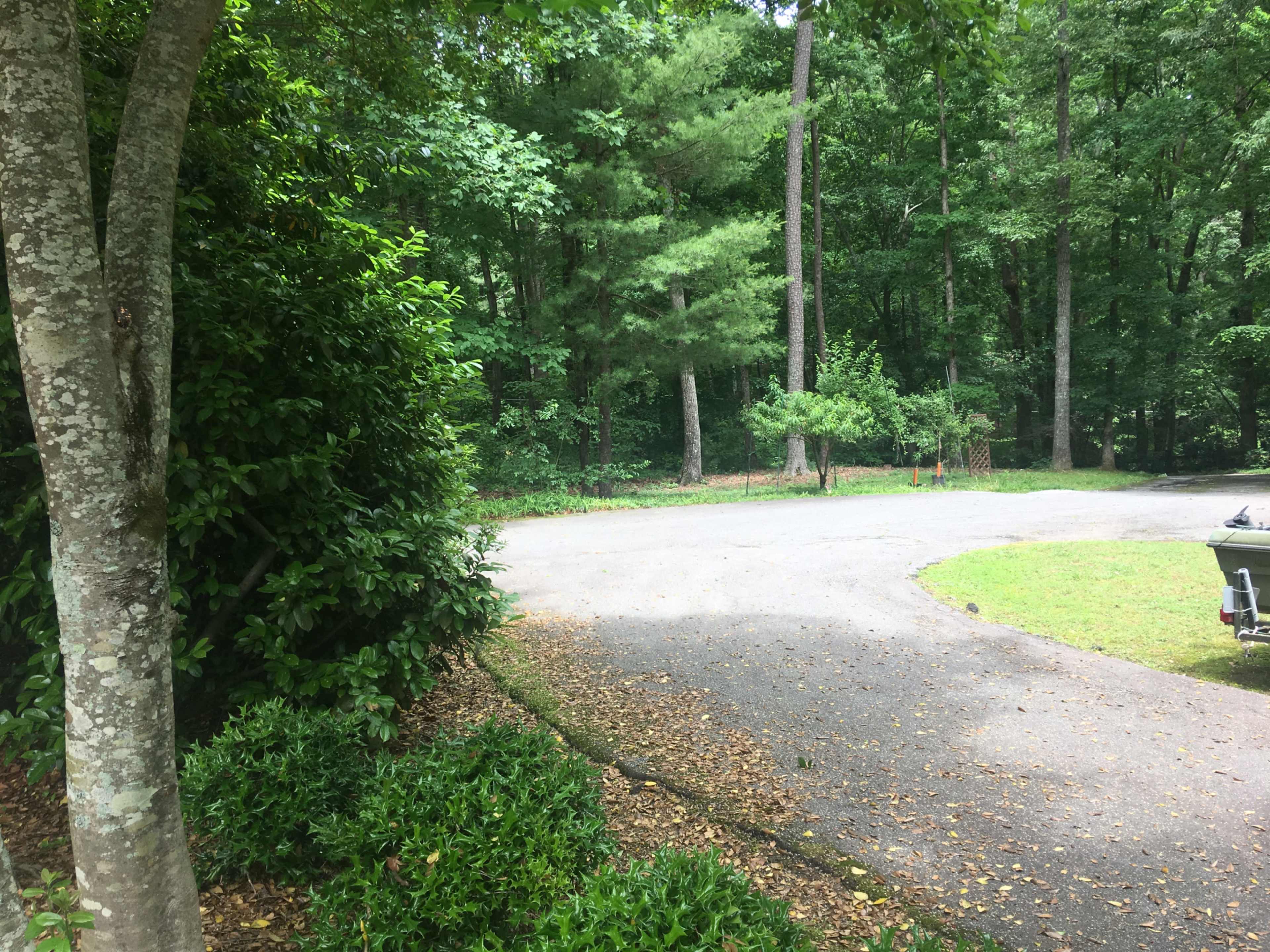 The image shows a winding dirt road surrounded by trees and shrubbery.