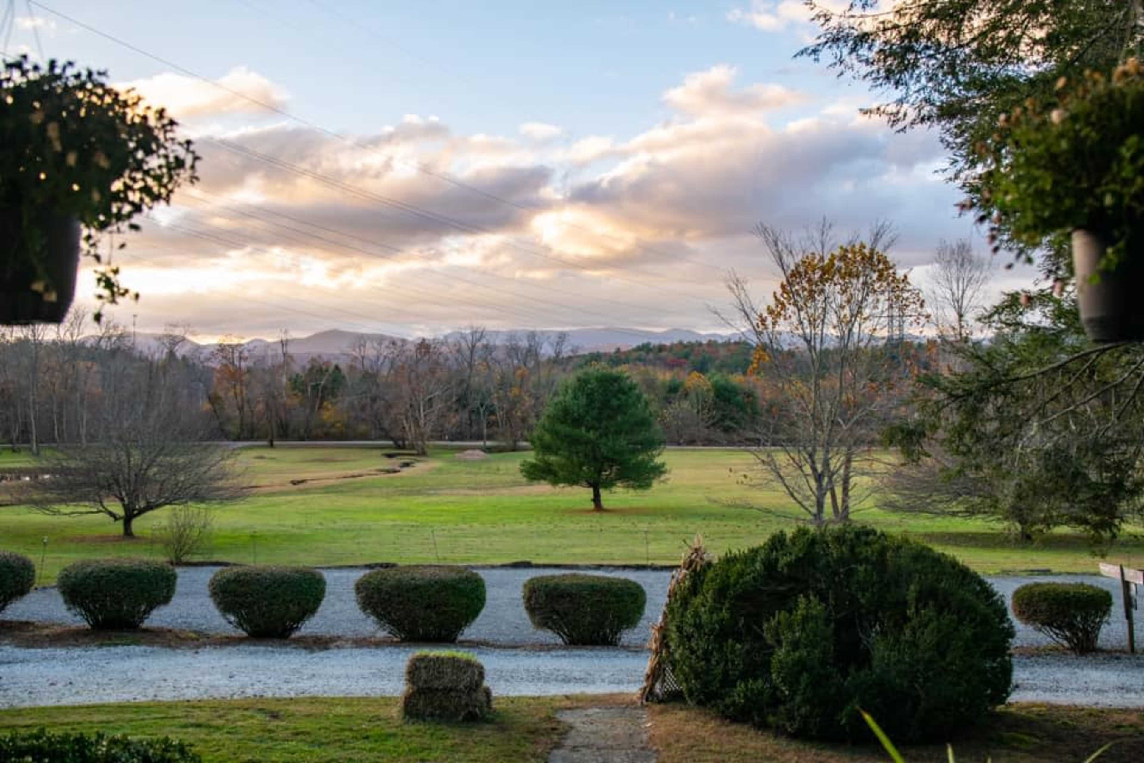 A grassy landscape with trees in the background and a gravel path lined with neatly trimmed shrubs.