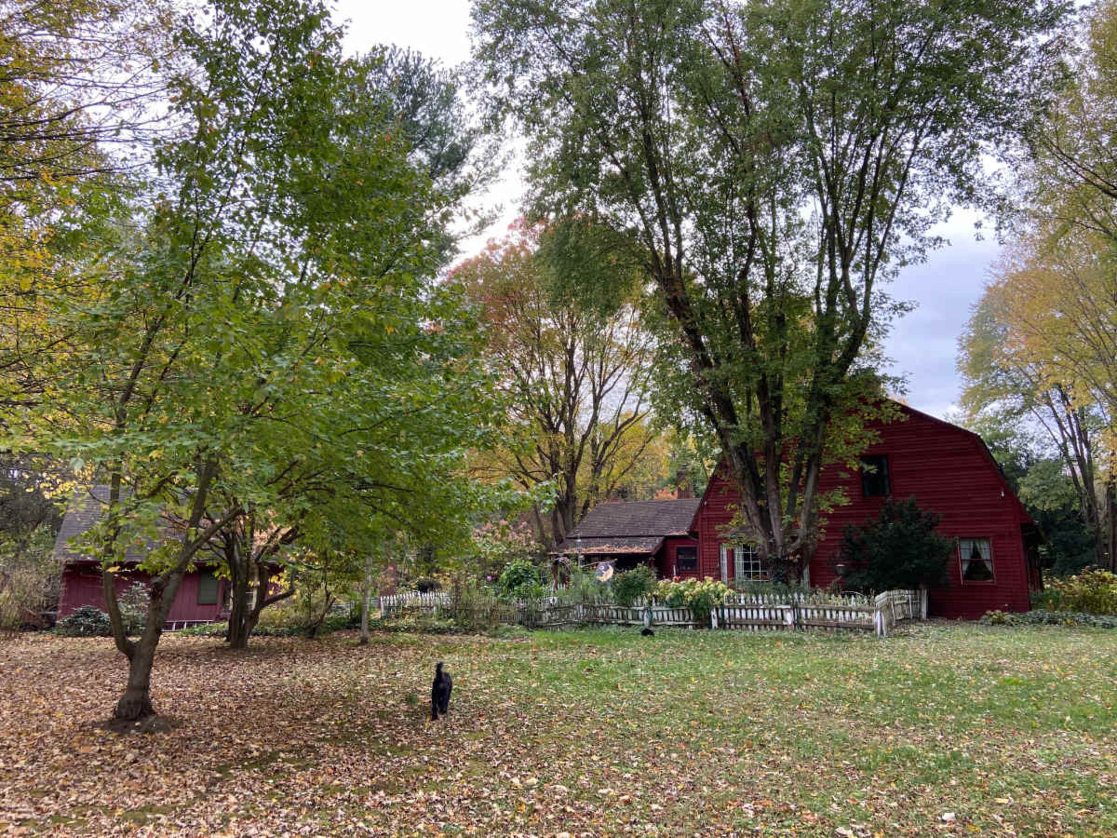 A red barn-style house surrounded by trees and fallen leaves in an autumn landscape.