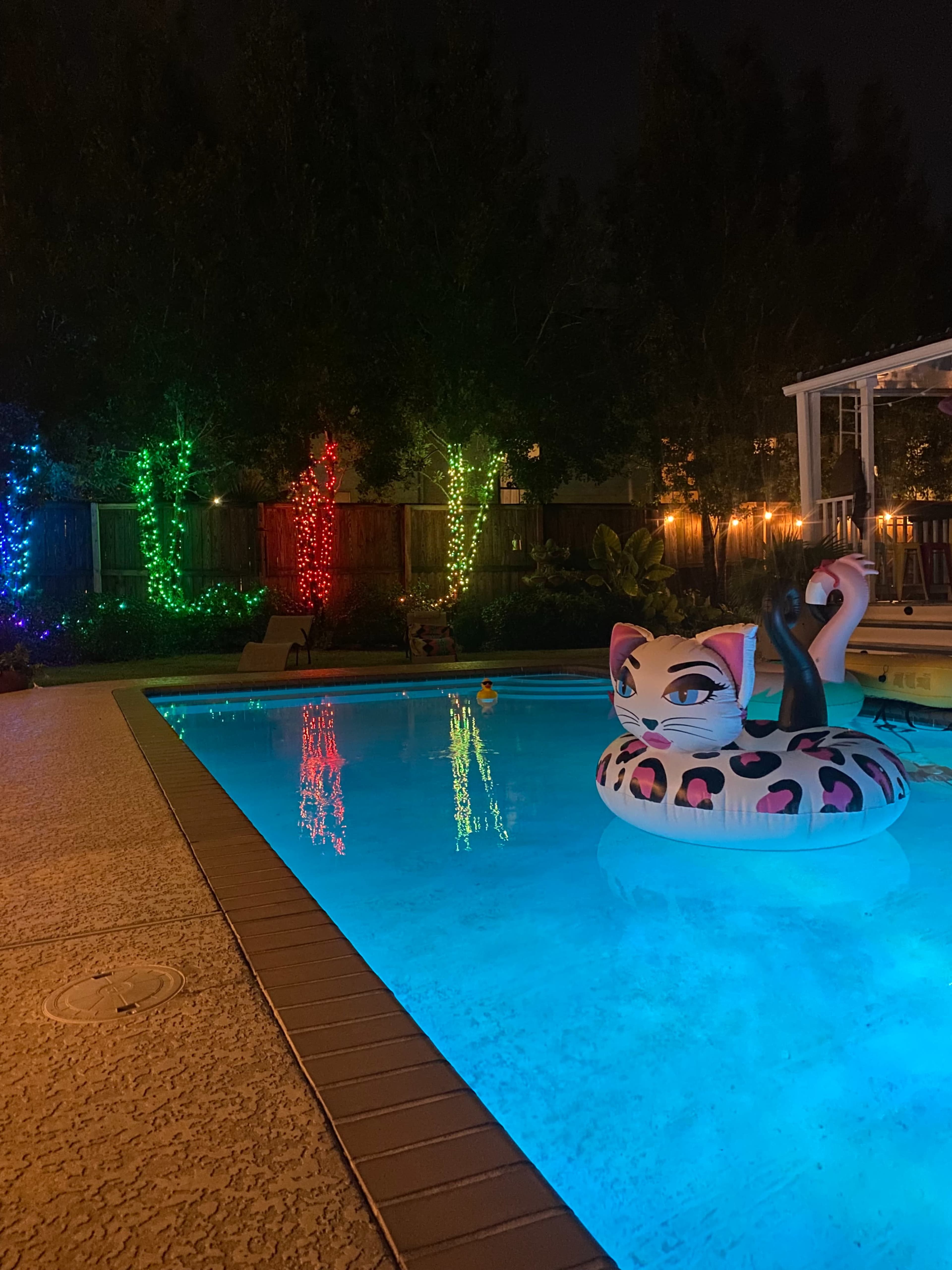 A colorful inflatable cat floats in a well-lit pool surrounded by festive lights on trees at night.