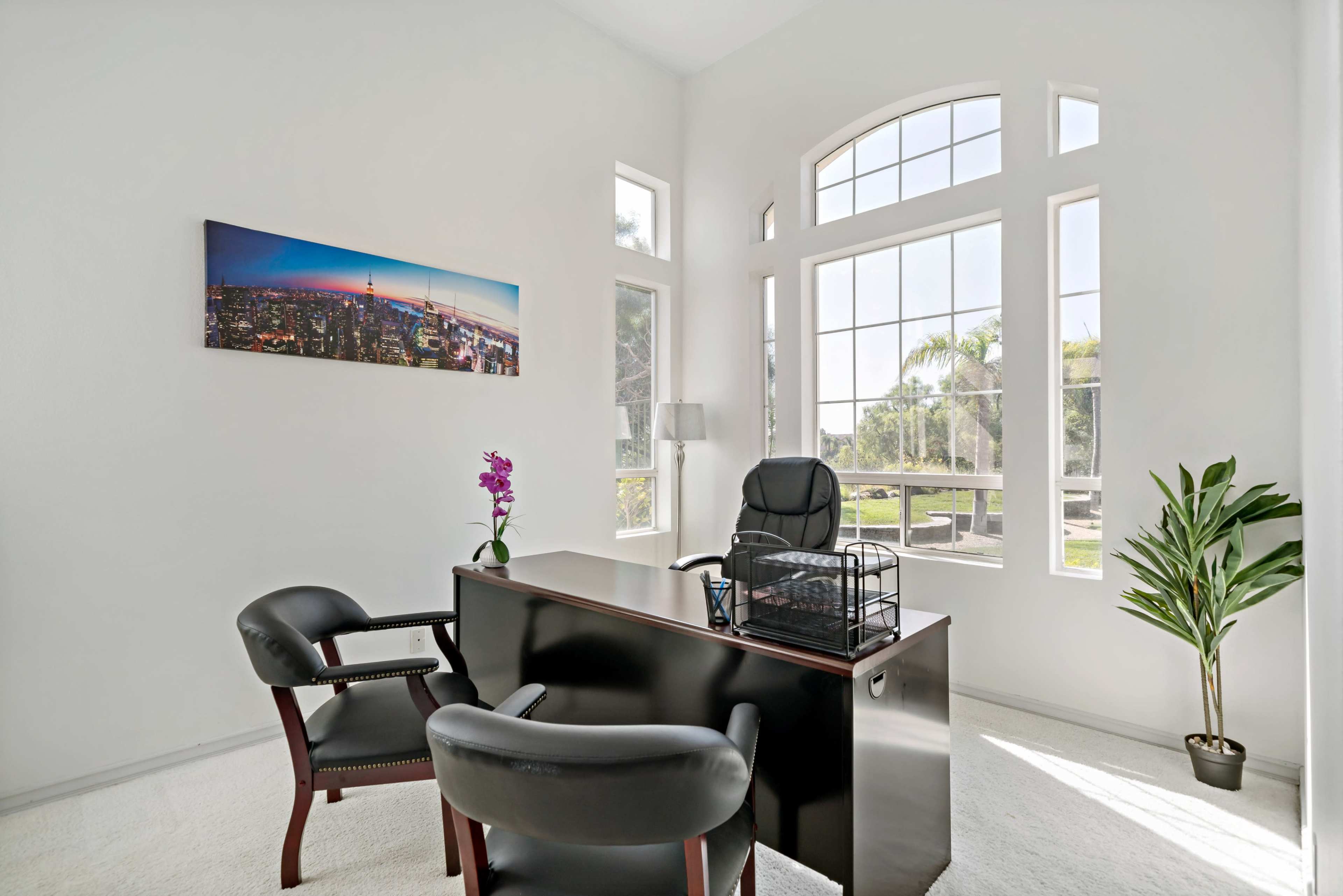 A modern office features a black desk, two chairs, large windows allowing natural light, and a potted plant.