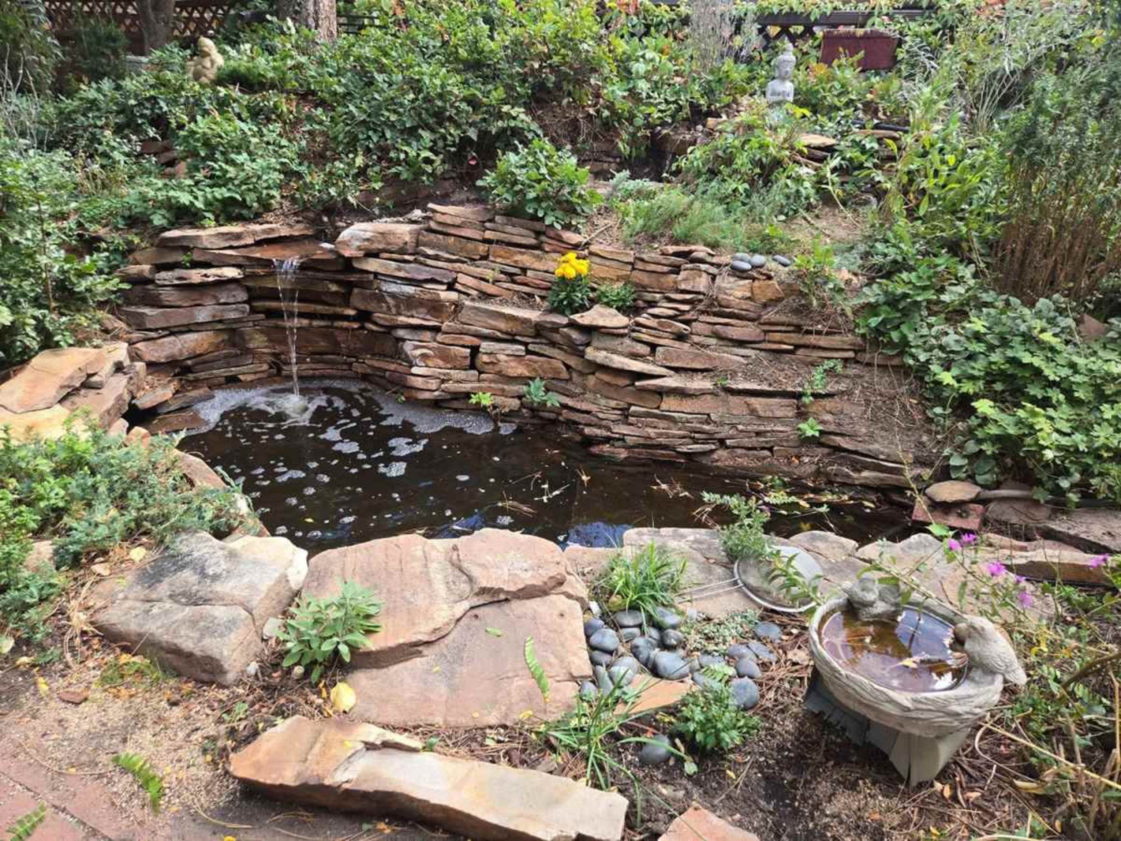 The image shows a landscaped pond surrounded by stacked stones and greenery, with a small waterfall cascading into the water.