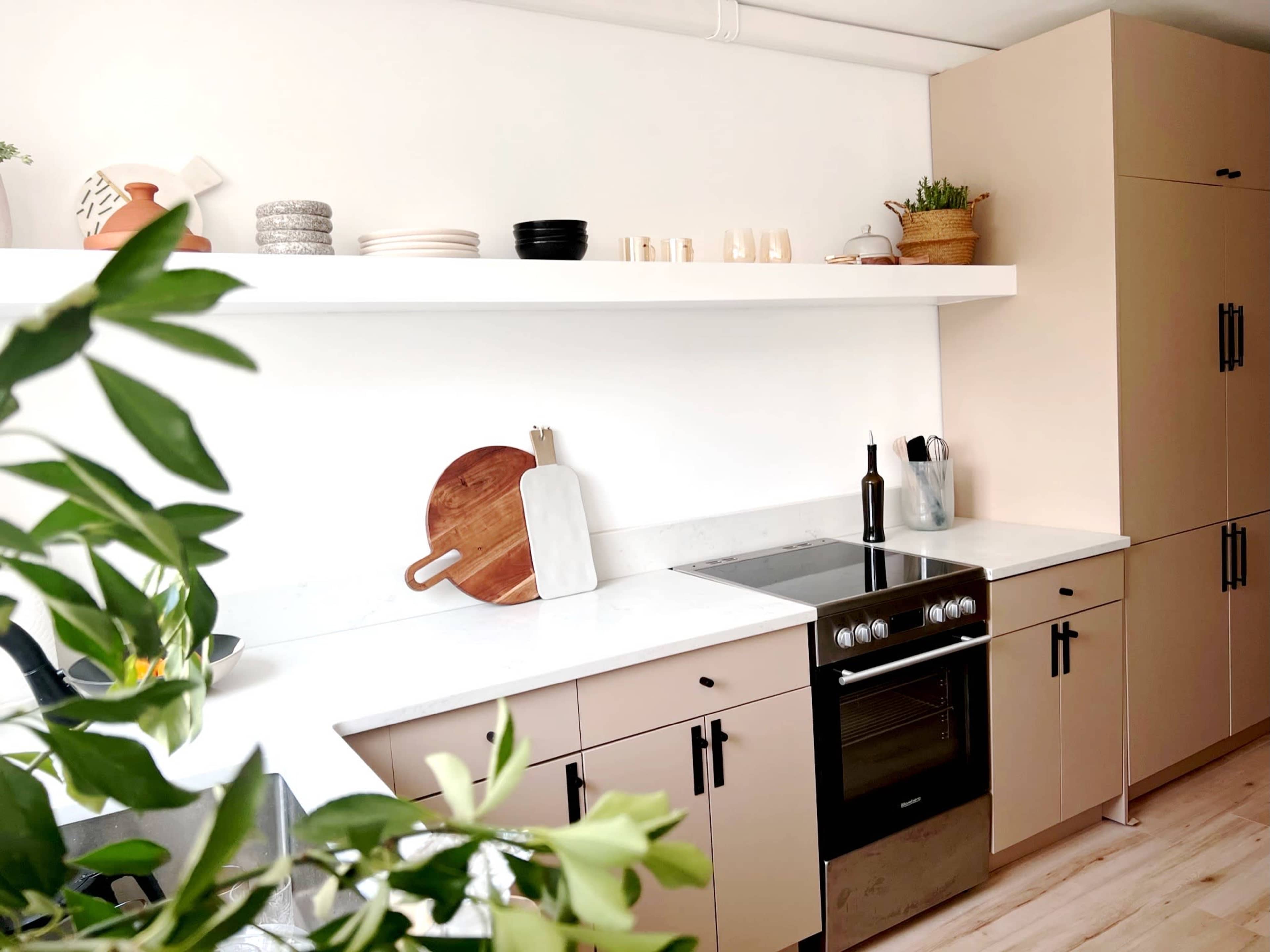 A modern kitchen features a countertop with a stovetop, storage cabinets, and open shelves displaying dishware and plants.