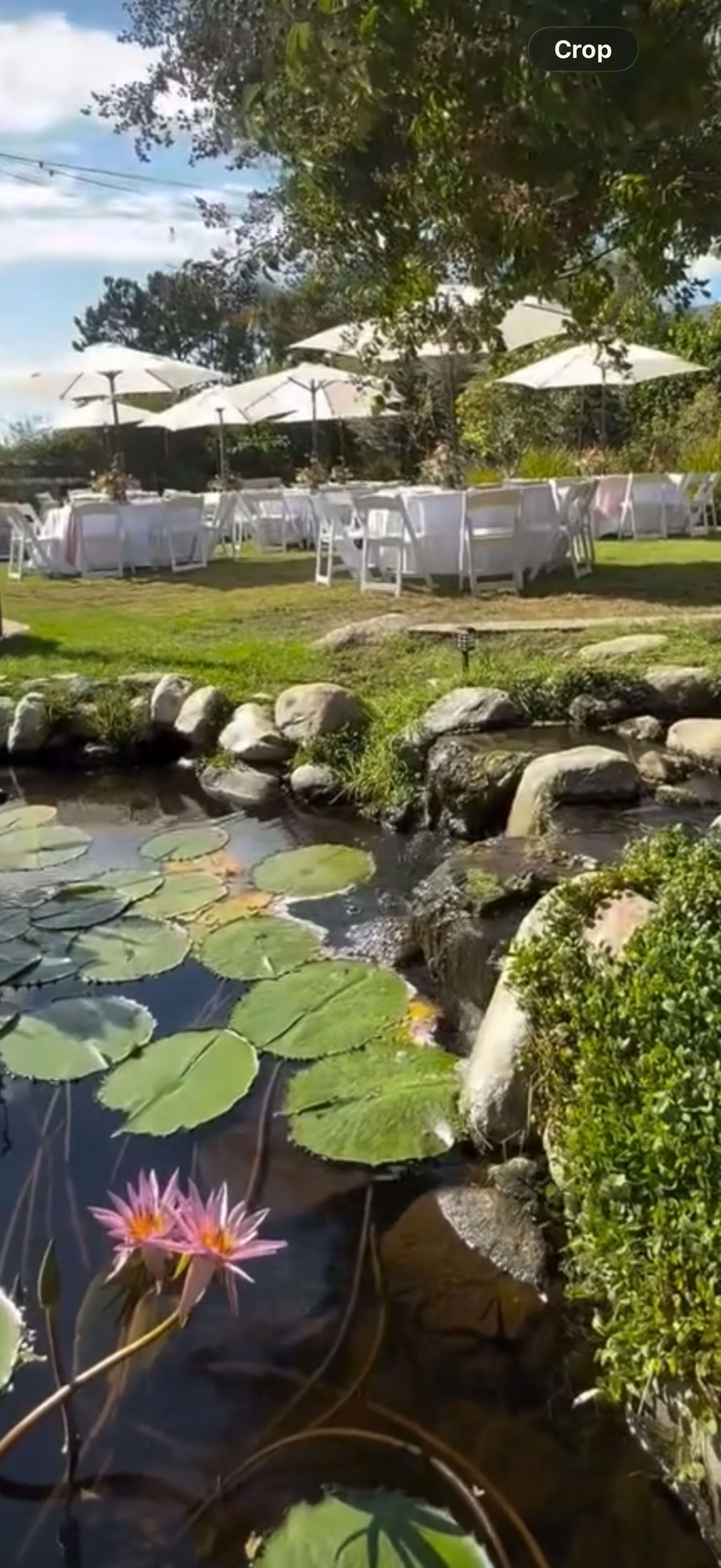 The image shows a serene garden setting with a pond featuring lily pads and a pink flower, alongside neatly arranged tables beneath white umbrellas.