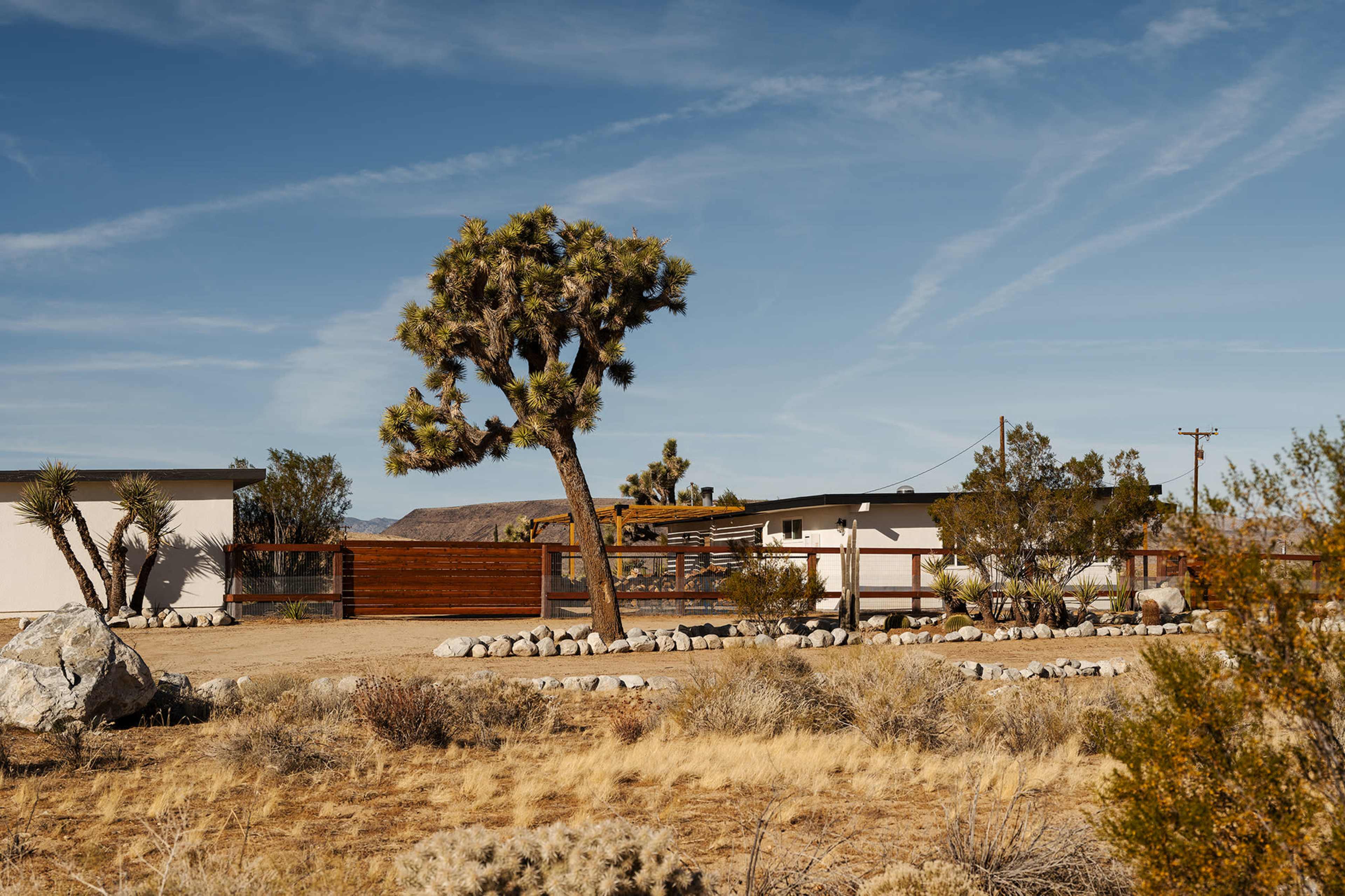 Desert Mid Century Ranch House with 3 acres of land and views / Fine Art and Design Image in , Yucca Valley, CA