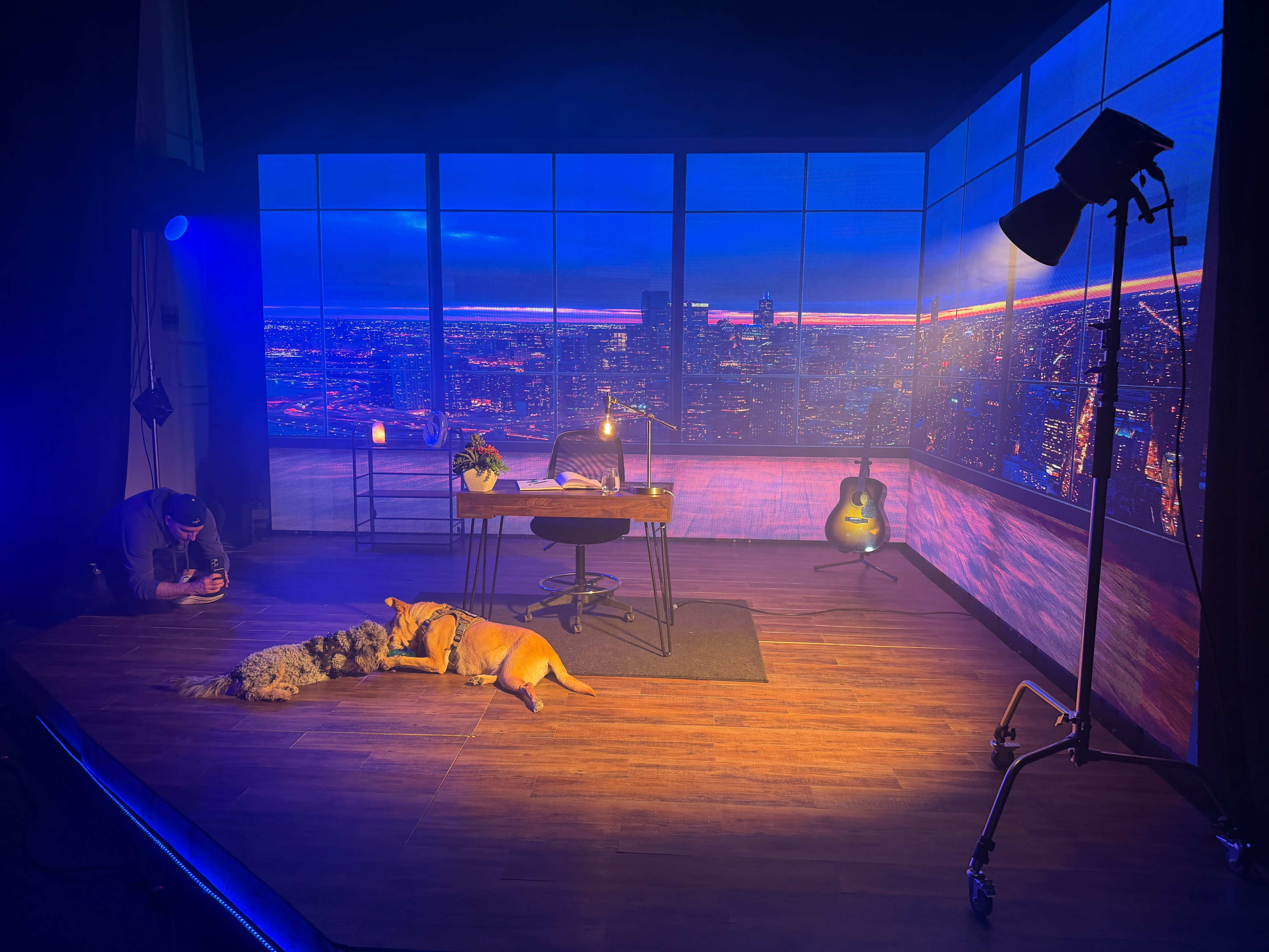 A modern studio setup features a wooden desk and two dogs on the floor, with a city skyline backdrop illuminated by evening lights.