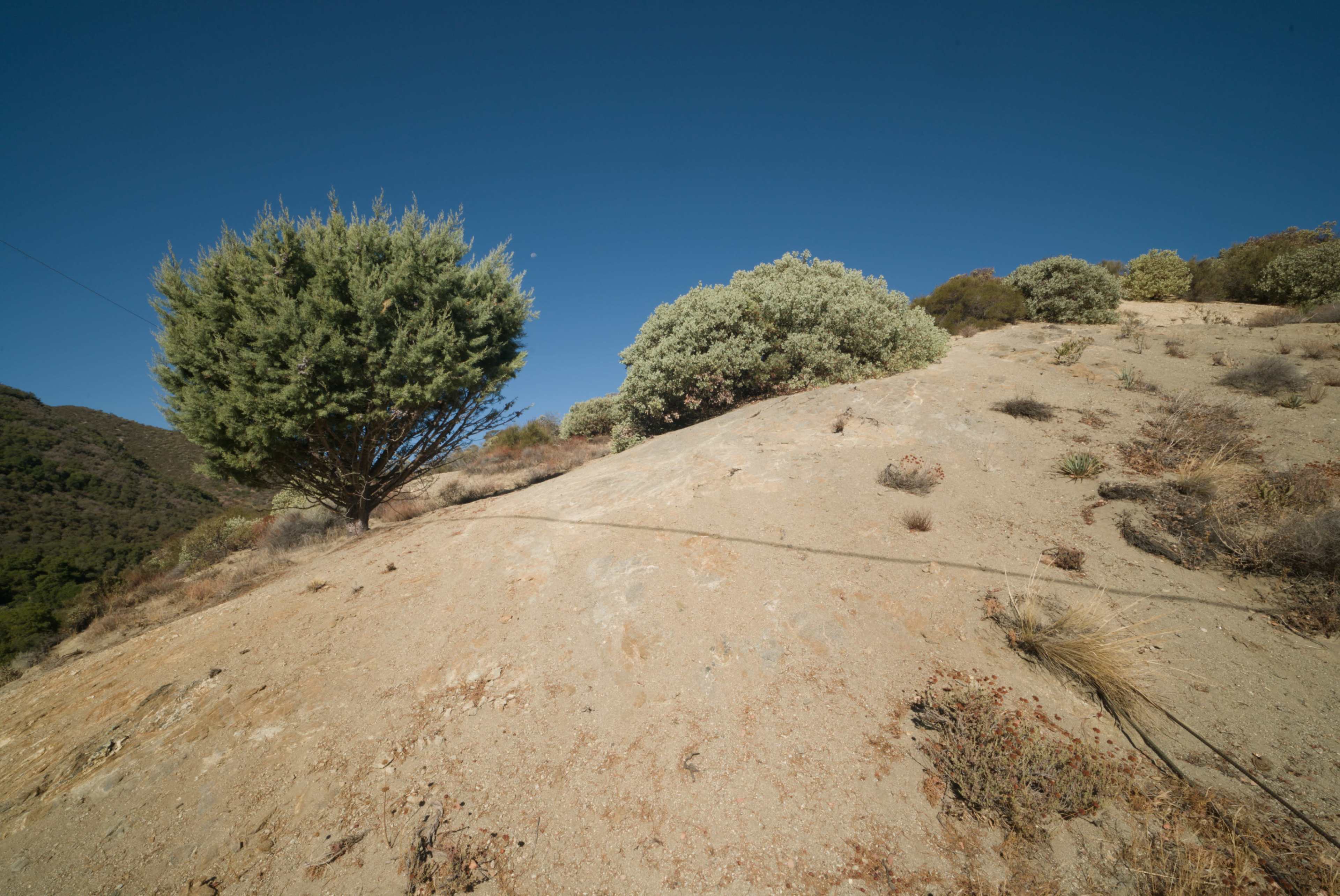 Expansive Mountain/Forest/Woods/Desert Backdrops Image in Leona Valley, Leona Valley, CA