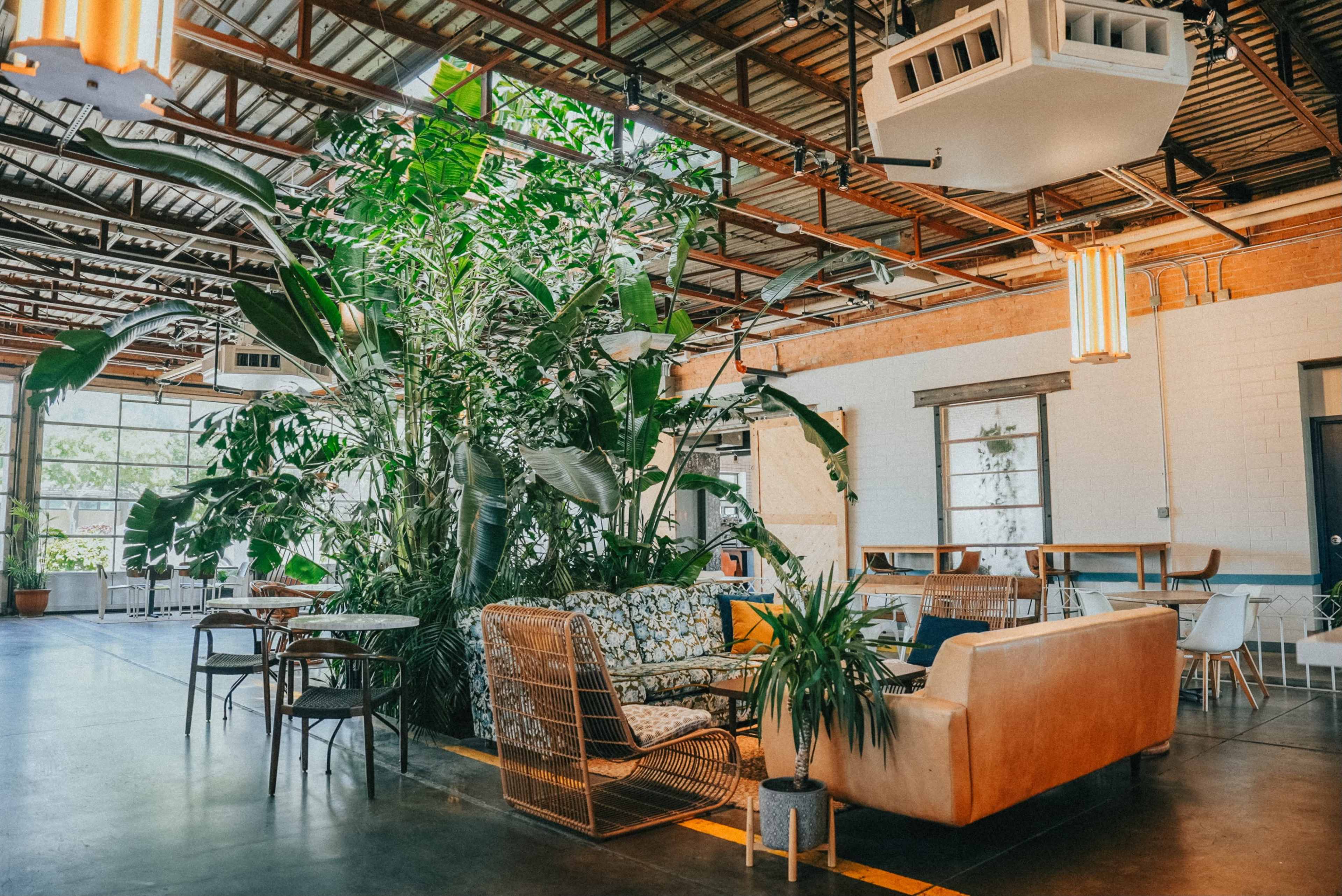 A modern indoor space features a large central plant arrangement surrounded by seating areas and large windows.