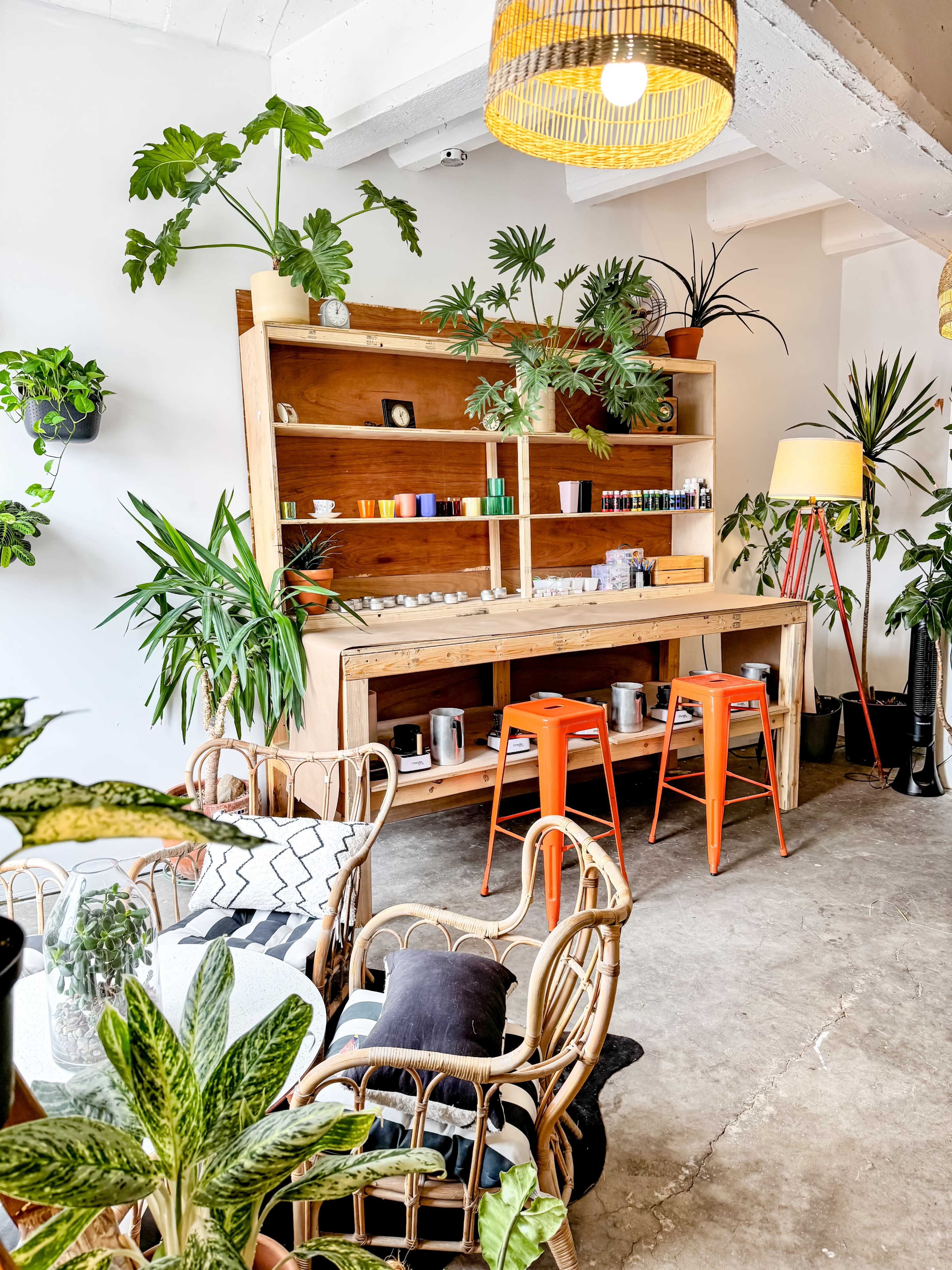 A bright cafe features a wooden shelf adorned with plants and colorful items, alongside rattan chairs and a table surrounded by greenery.