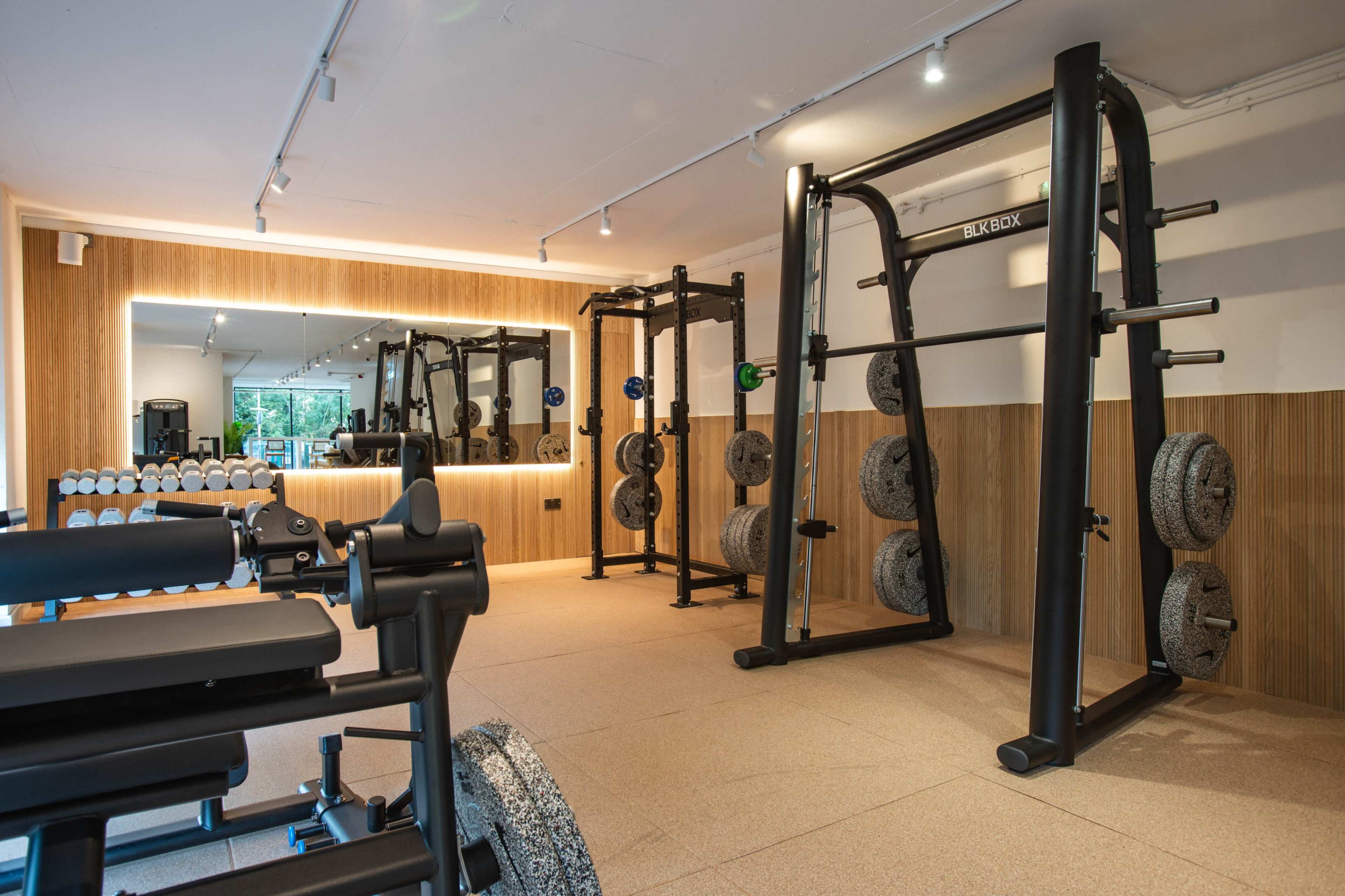 High end gym and wellness facility - 4000 sqr ft Image in Tonbridge, Tonbridge, ENG