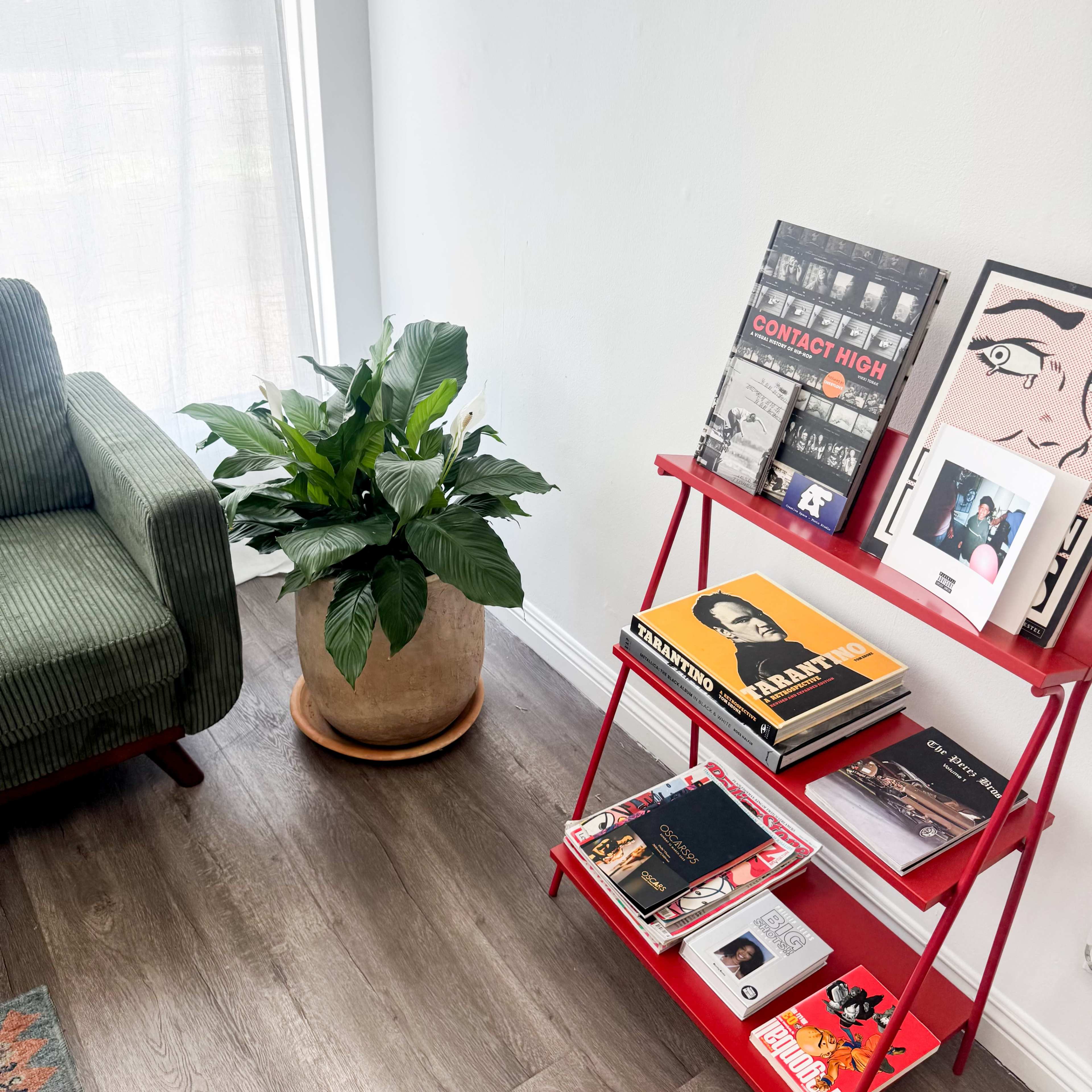 A green striped armchair sits beside a red bookshelf filled with various magazines and framed photographs, next to a potted plant on the floor.