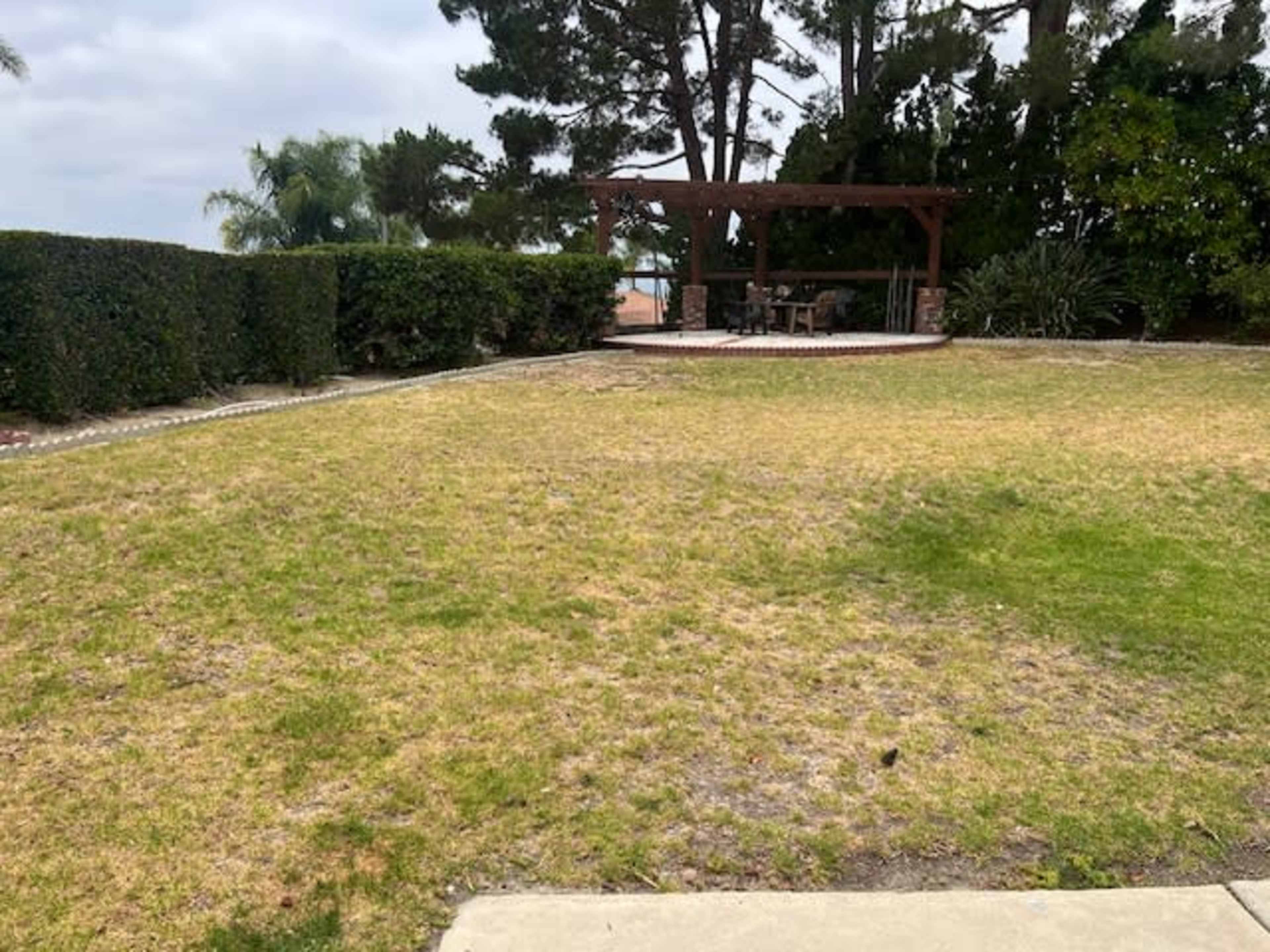 The image shows a grassy area leading to a gazebo with seating, surrounded by trees and hedges in a landscaped yard.