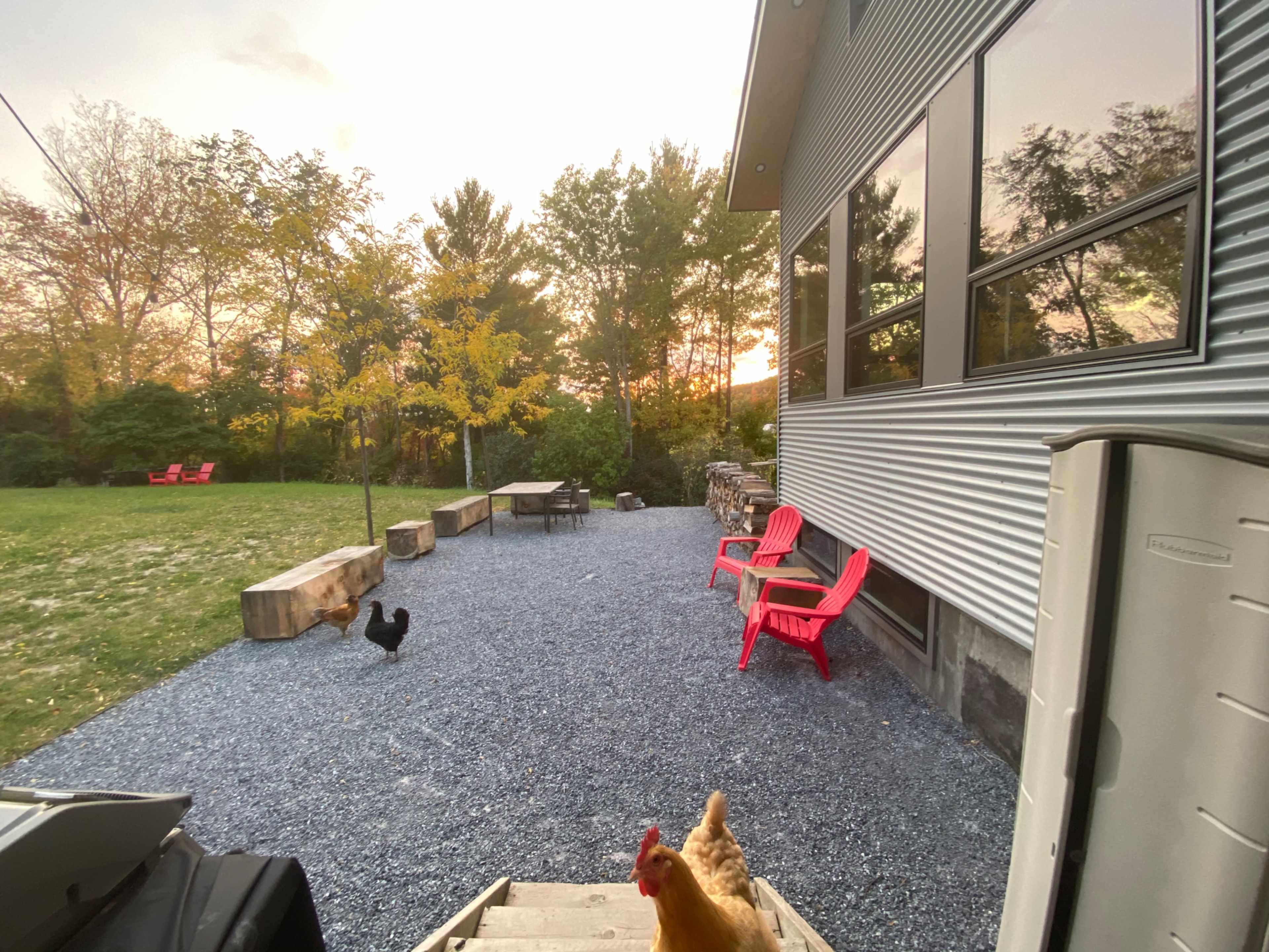A small backyard scene features a gravel patio with two red chairs, a table, and a couple of chickens roaming, while trees and a sunset fill the background.
