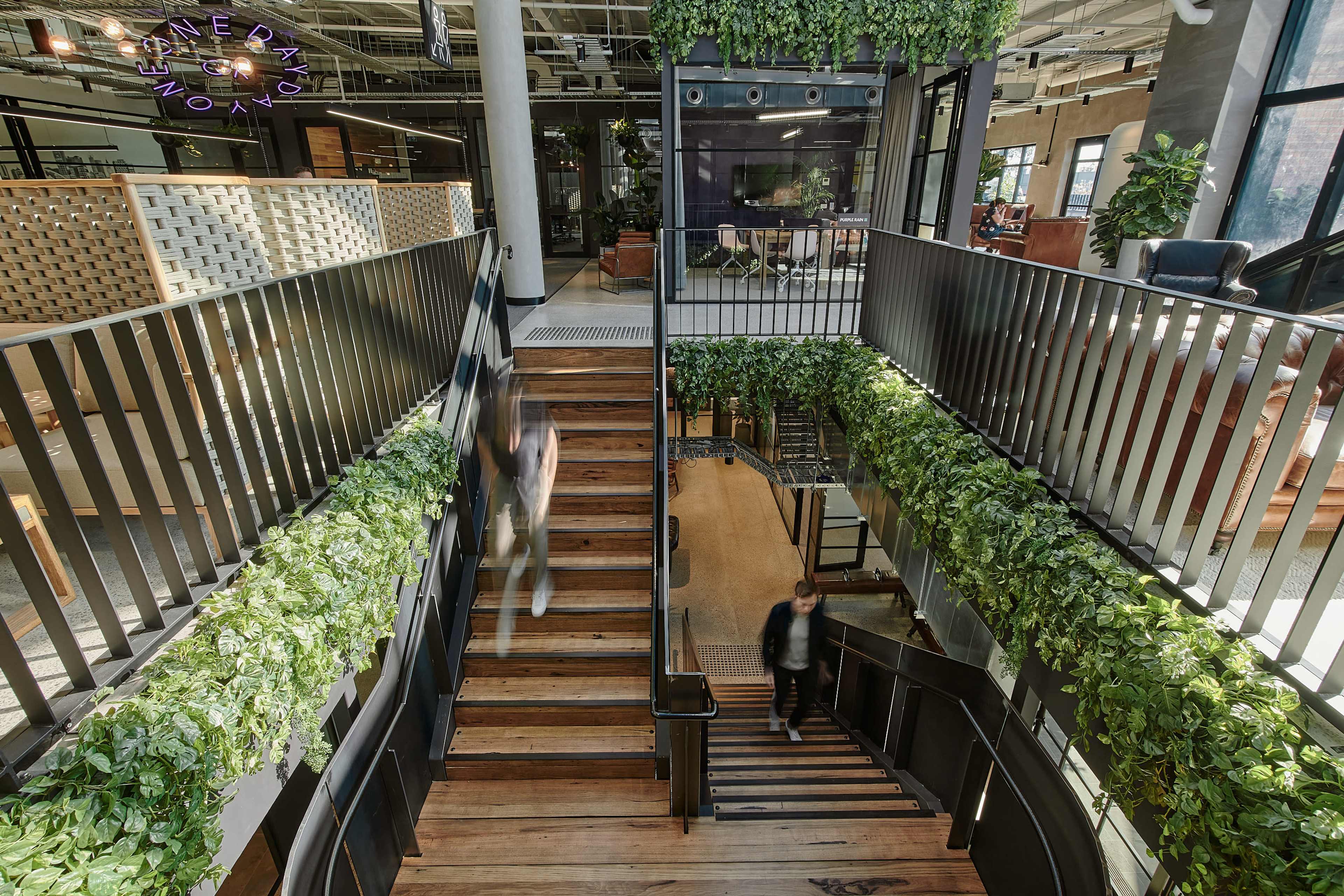 A wooden staircase with black railings is flanked by greenery, leading between two levels of a modern, open interior space.