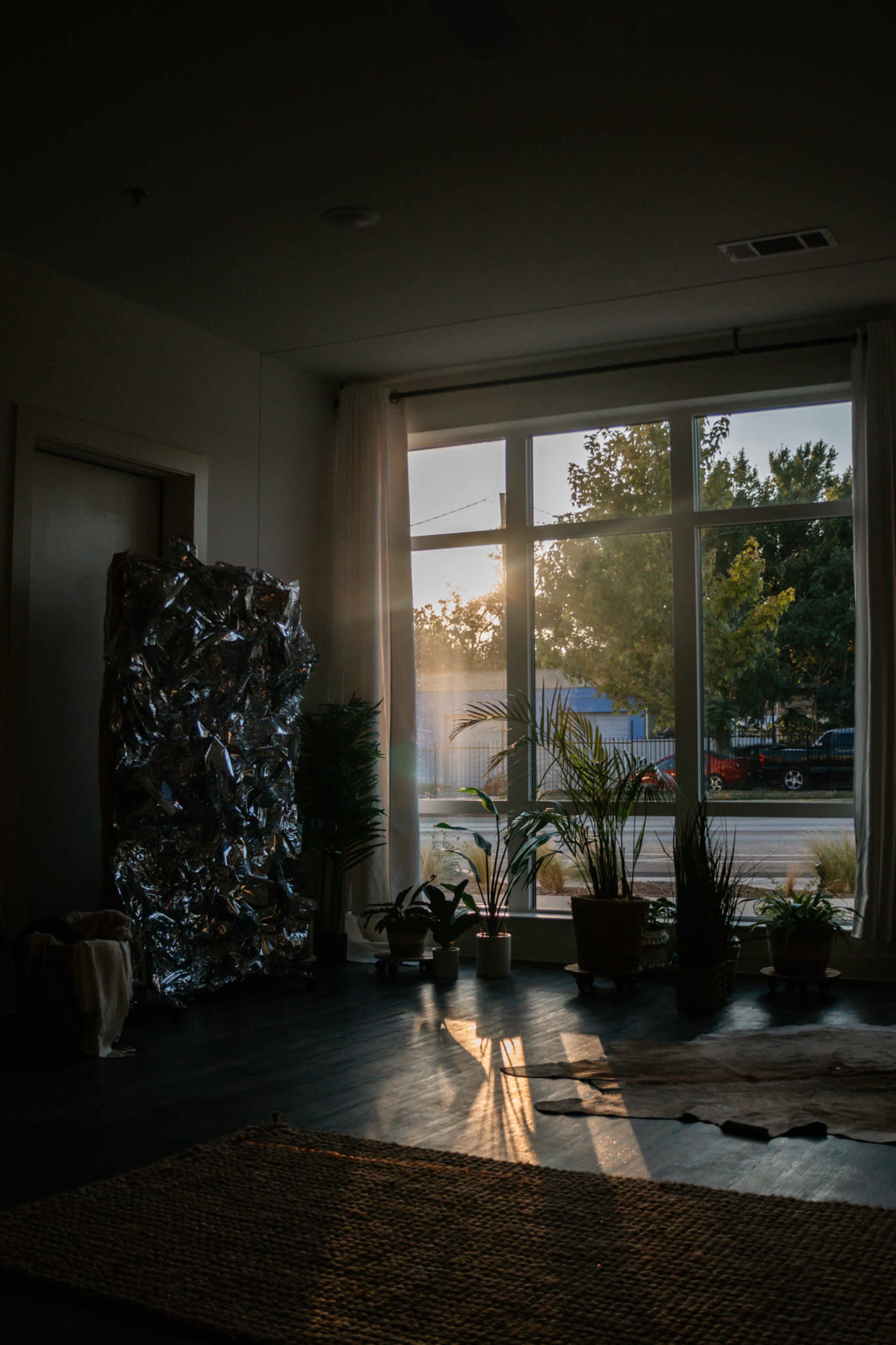 A bright sunbeam filters through a large window, illuminating a room with various potted plants and a silver-covered object in the corner.