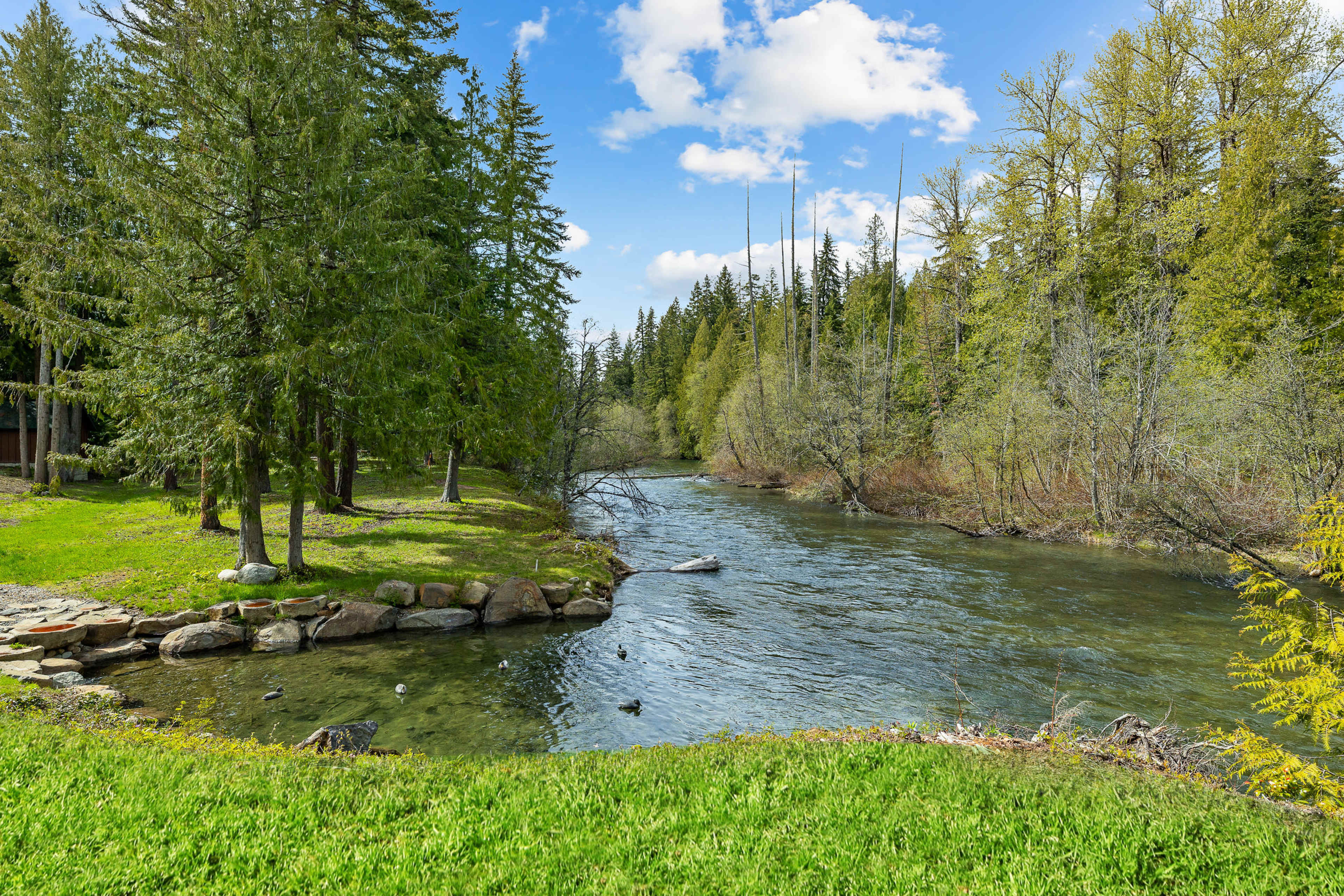 A clear river flows beside a grassy bank, bordered by dense trees under a partly cloudy sky.