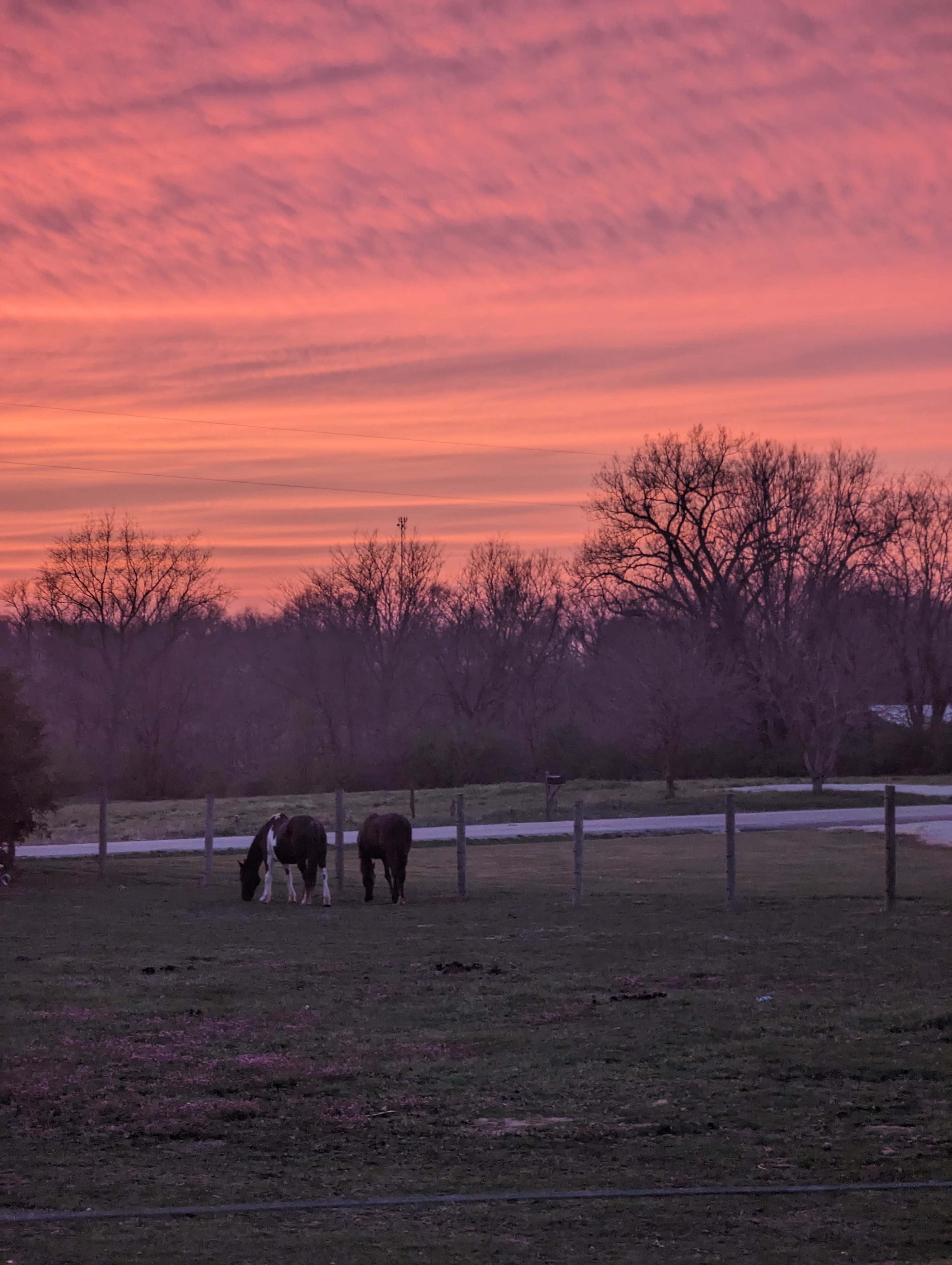 Two horses graze in a grassy field under a colorful sunset sky.