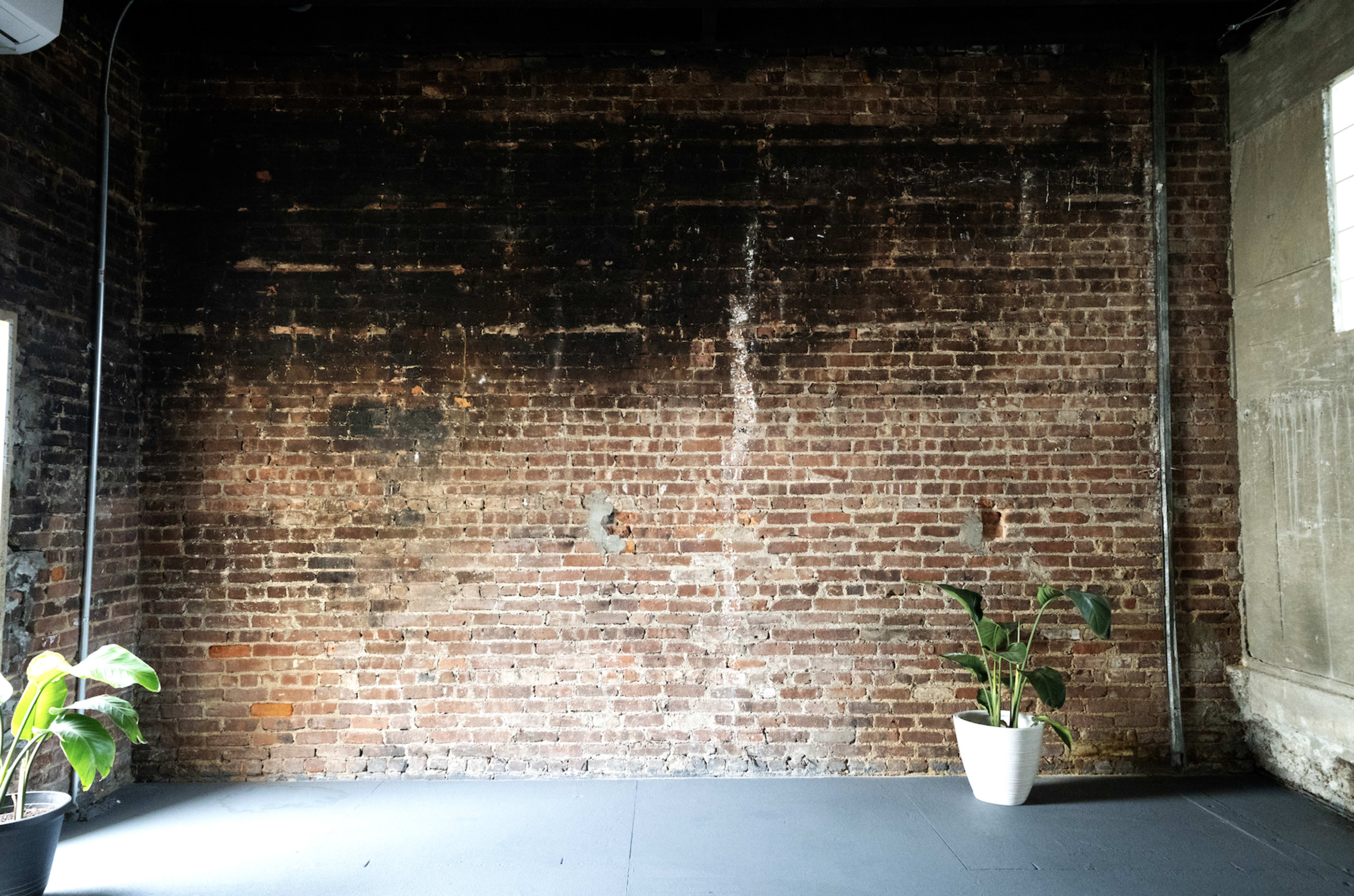 A bare brick wall with some dark patches, accompanied by a potted plant in a white container placed on the floor.