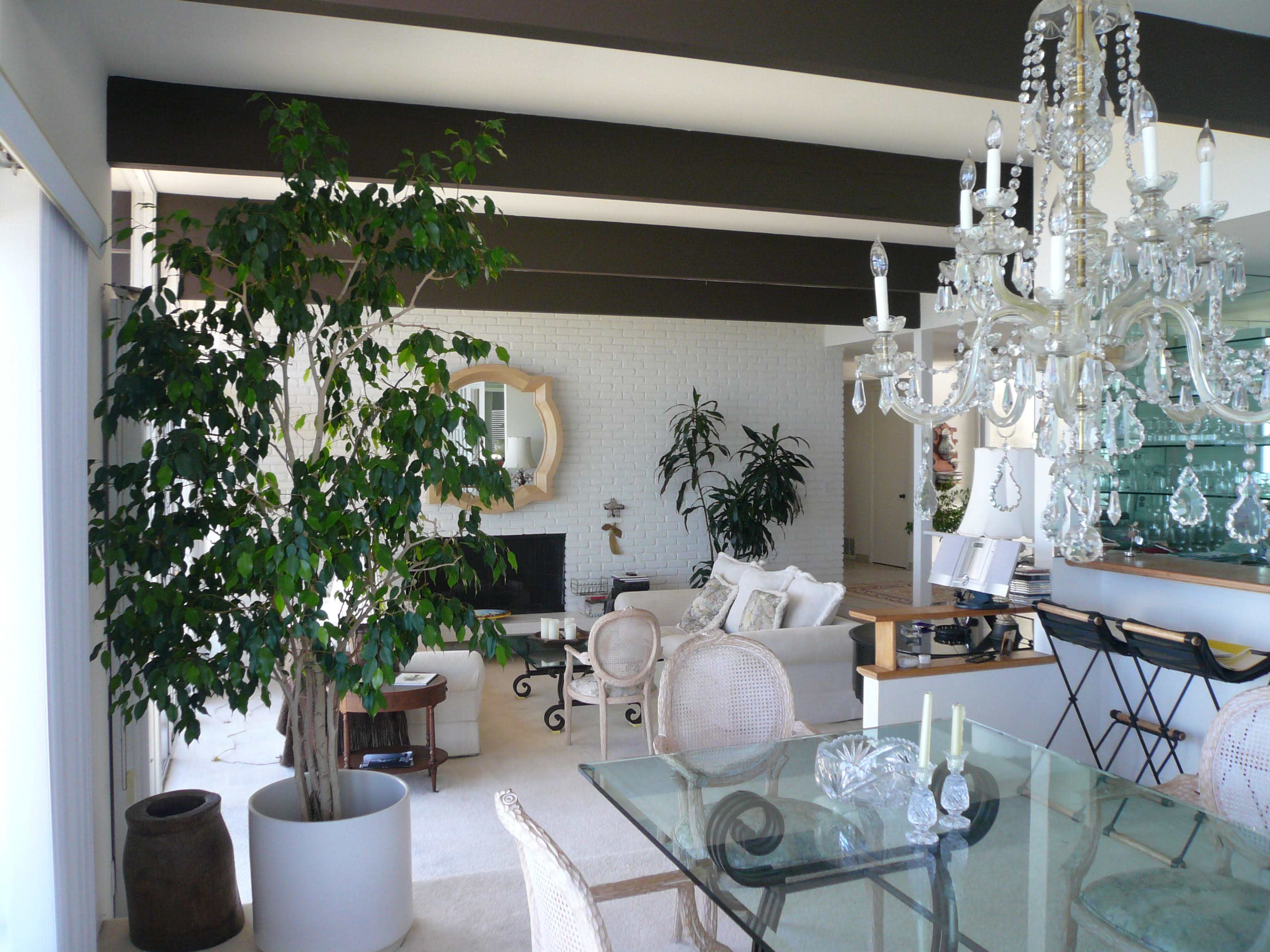 The image shows a bright living space featuring a glass dining table, a large chandelier, a potted tree, and various plants arranged around a cozy seating area.