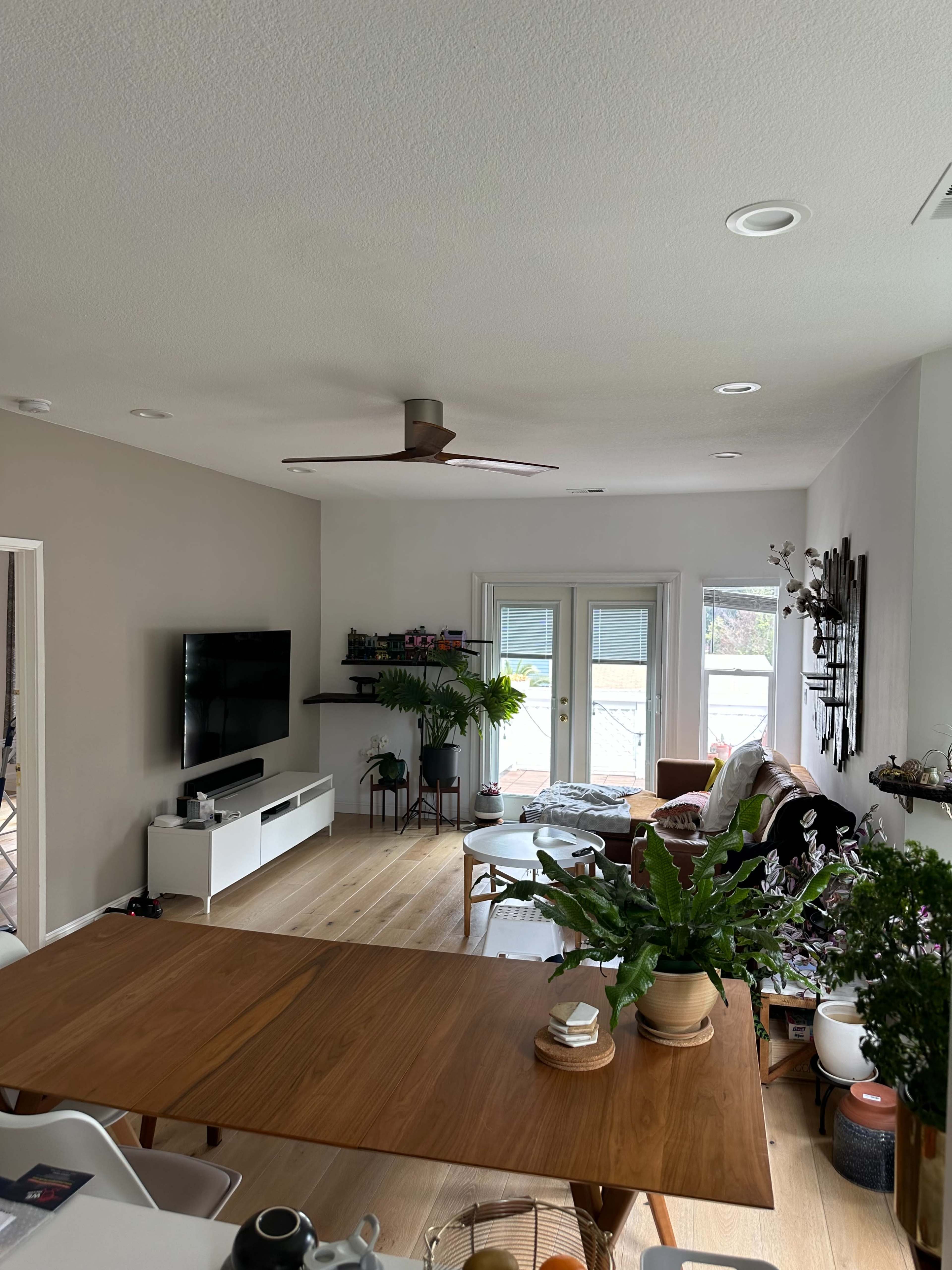 A modern living room with a television mounted on a wall, a large window providing natural light, and a mix of indoor plants and furniture arranged around a wooden dining table.