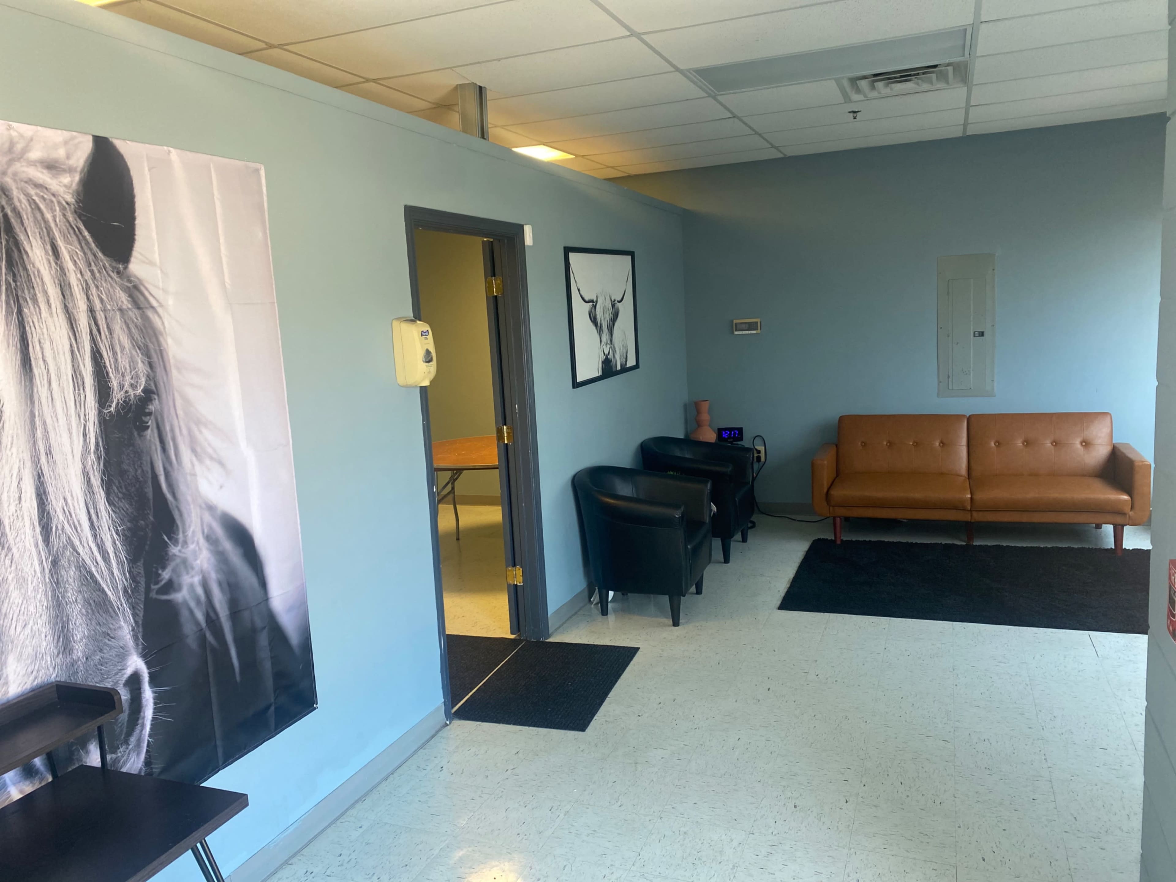 A waiting area with a brown couch, black chairs, and equine-themed wall art in a light blue room.
