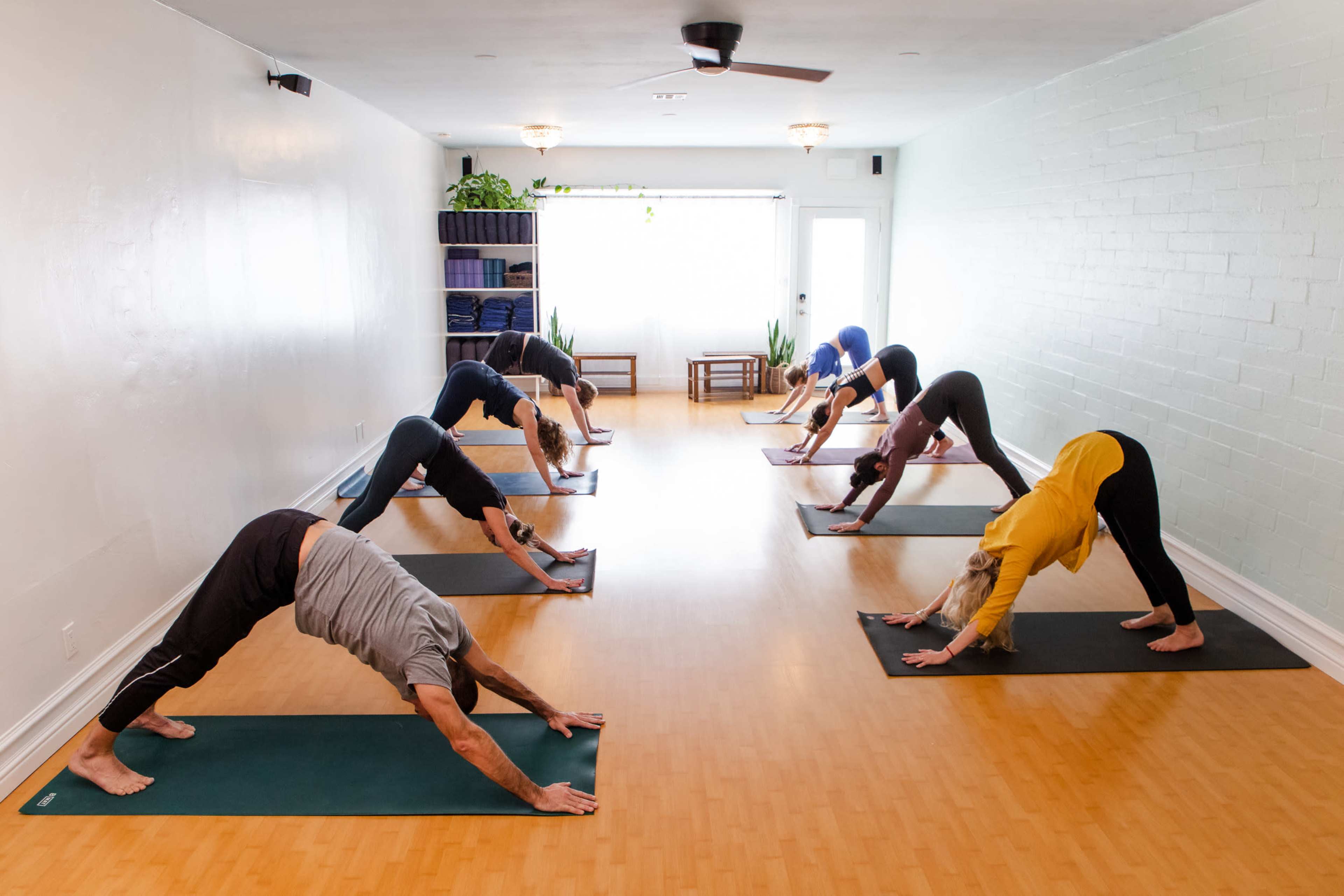 A group of individuals practices yoga in a well-lit studio, all positioned in downward-facing dog on their yoga mats.