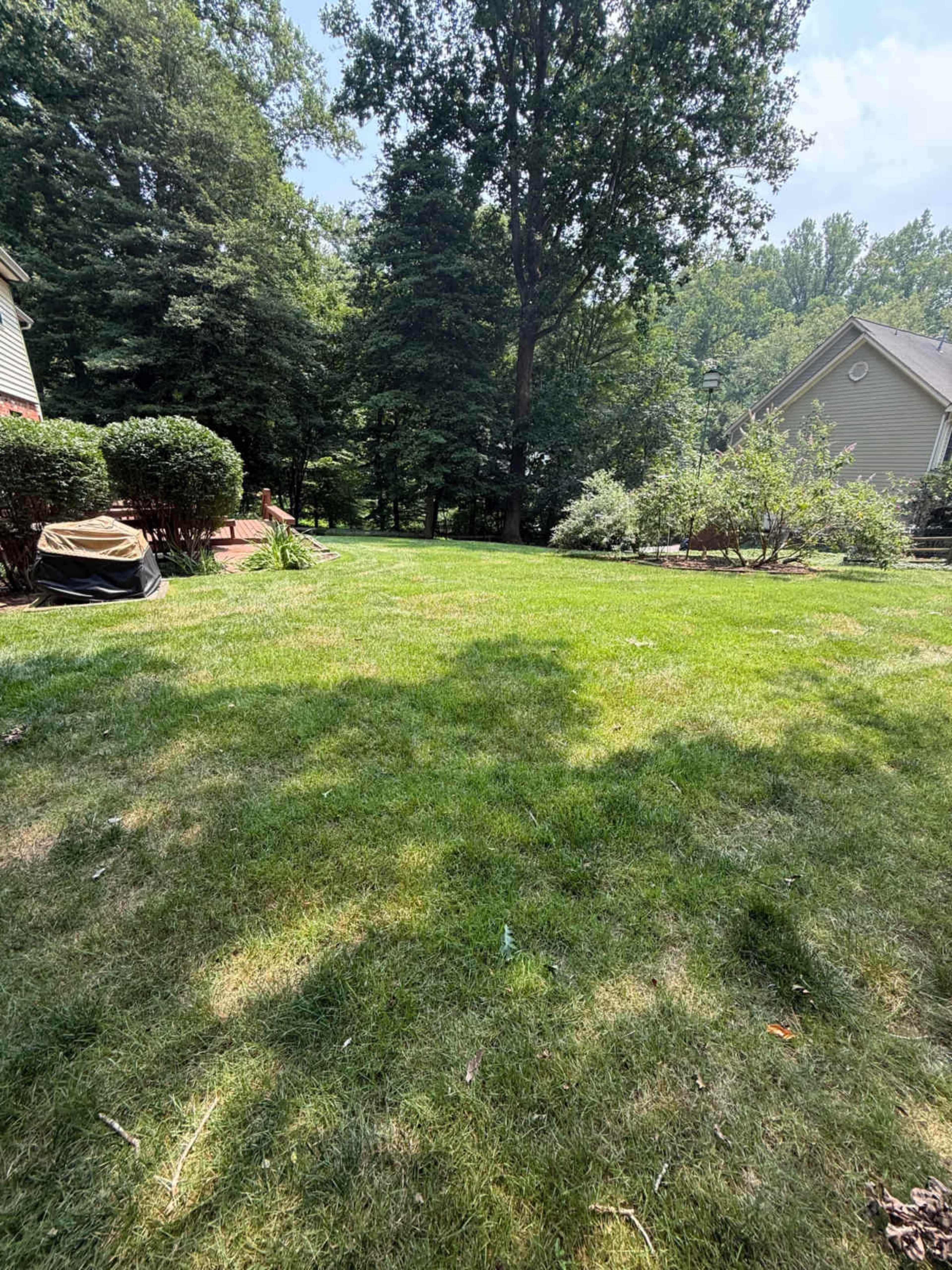 The image shows a well-maintained grassy yard surrounded by trees and shrubs, with a house visible on the right side.