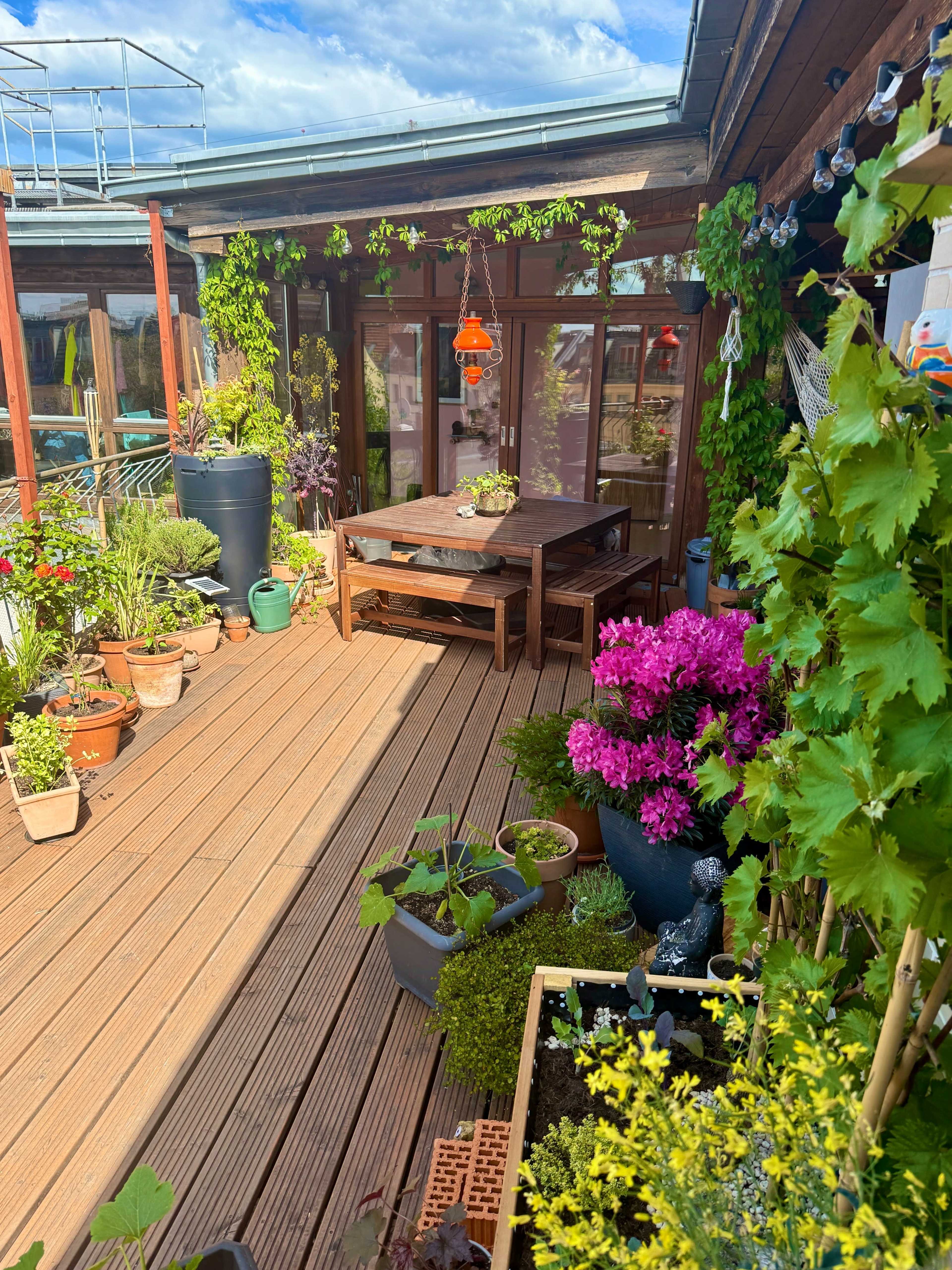 XXL Penthaus Wohnung mit Greenhouse und Yogaroom 400m2 Image in Wedding, Berlin, 