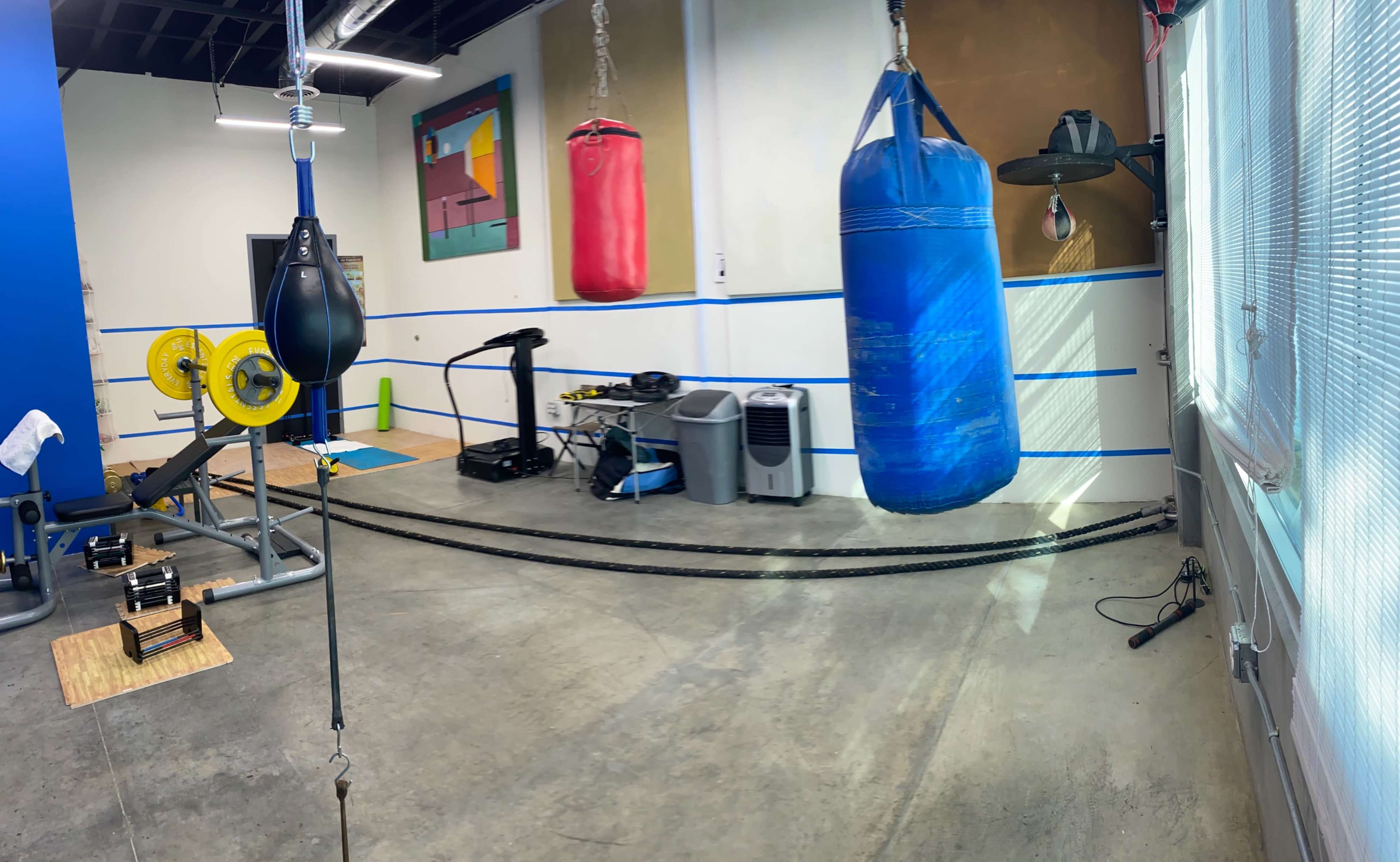 A gym interior featuring two punching bags hanging, a weight bench with weights, and fitness equipment arranged along a concrete floor.
