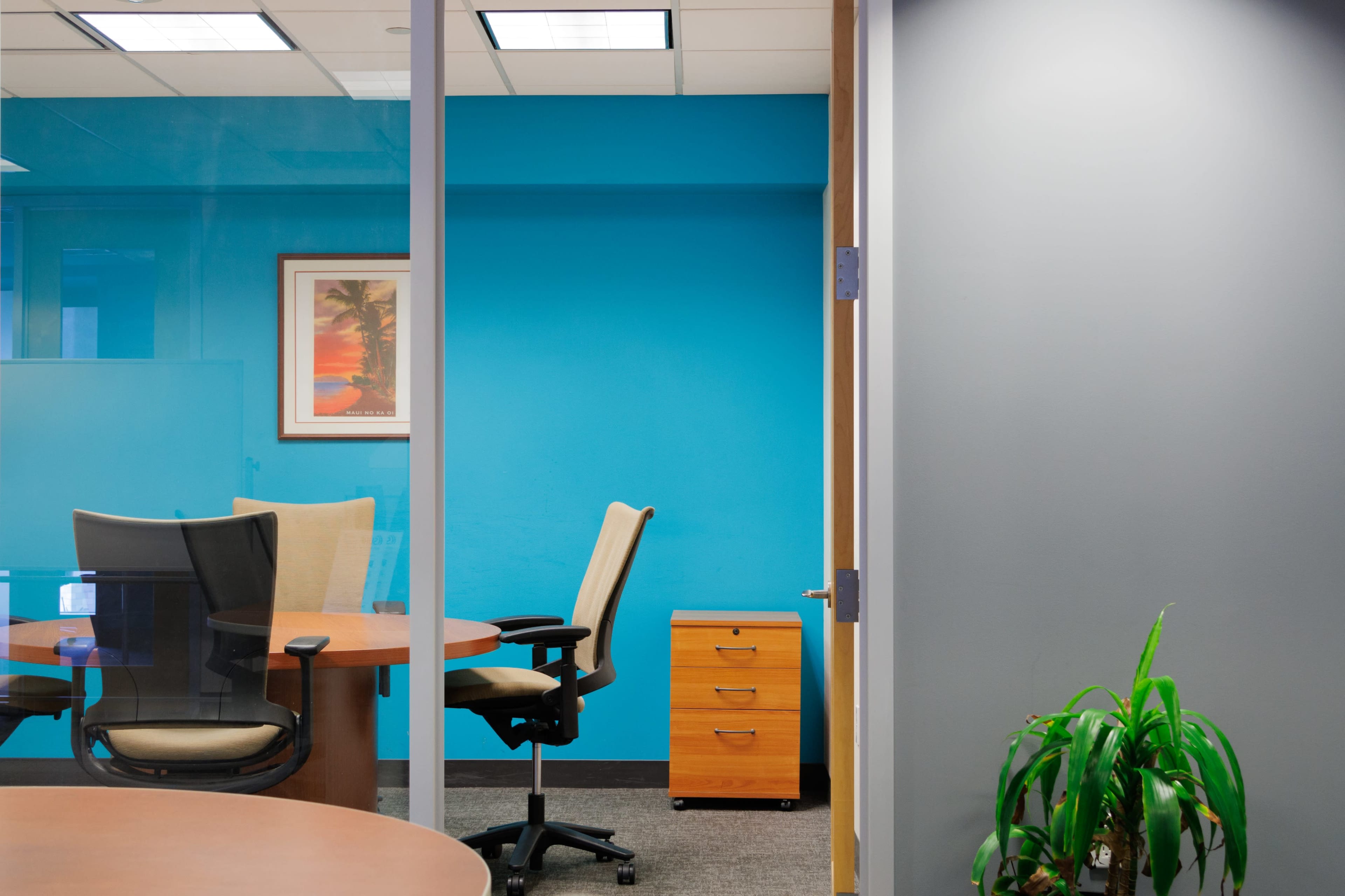 A modern office space features a glass partition, a blue accent wall, round tables with chairs, a wooden cabinet, and a potted plant.