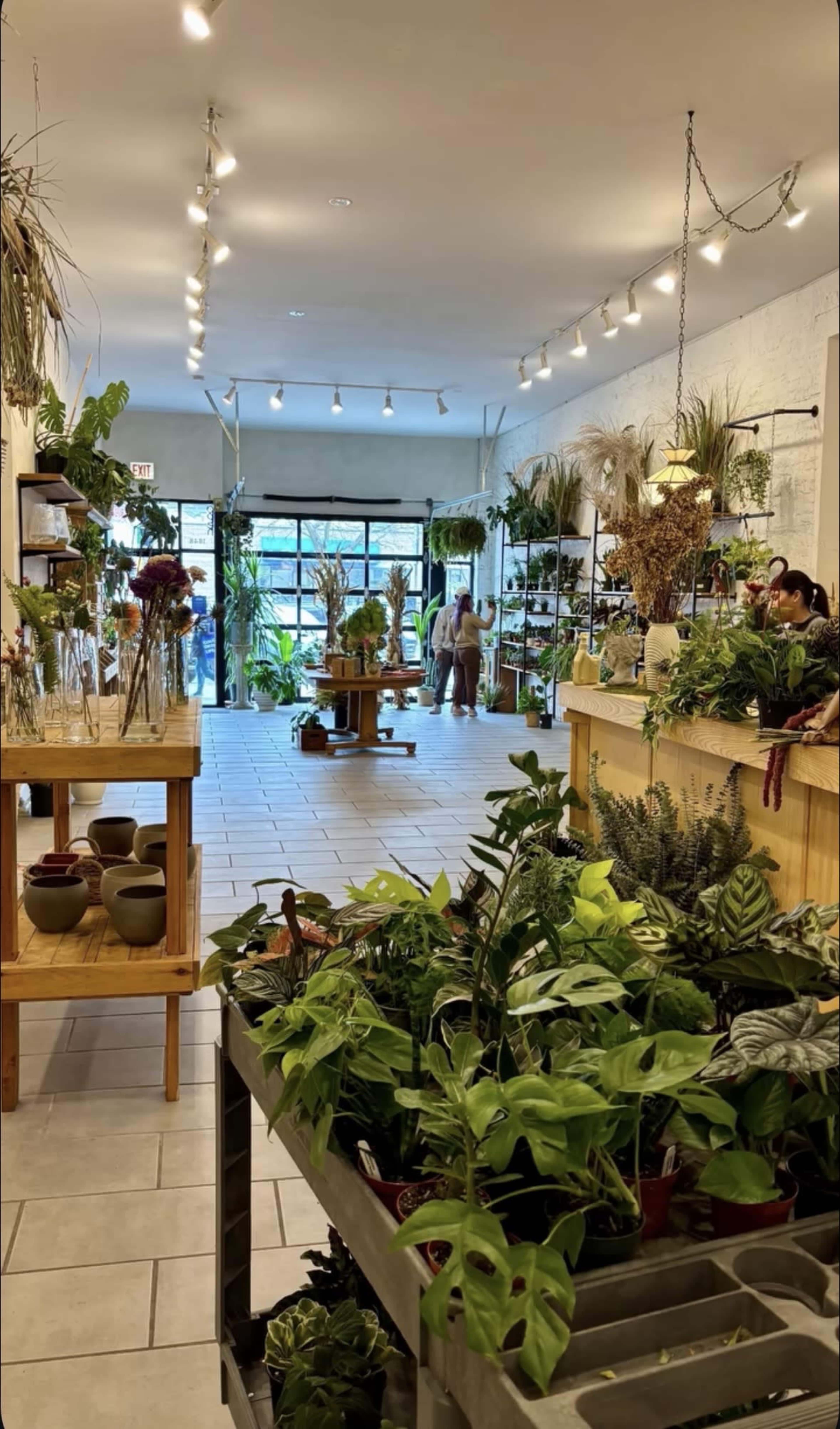 Semillas: A Soulful Space for Shoots, Events & Gatherings Image in Lower West Side, Chicago, IL