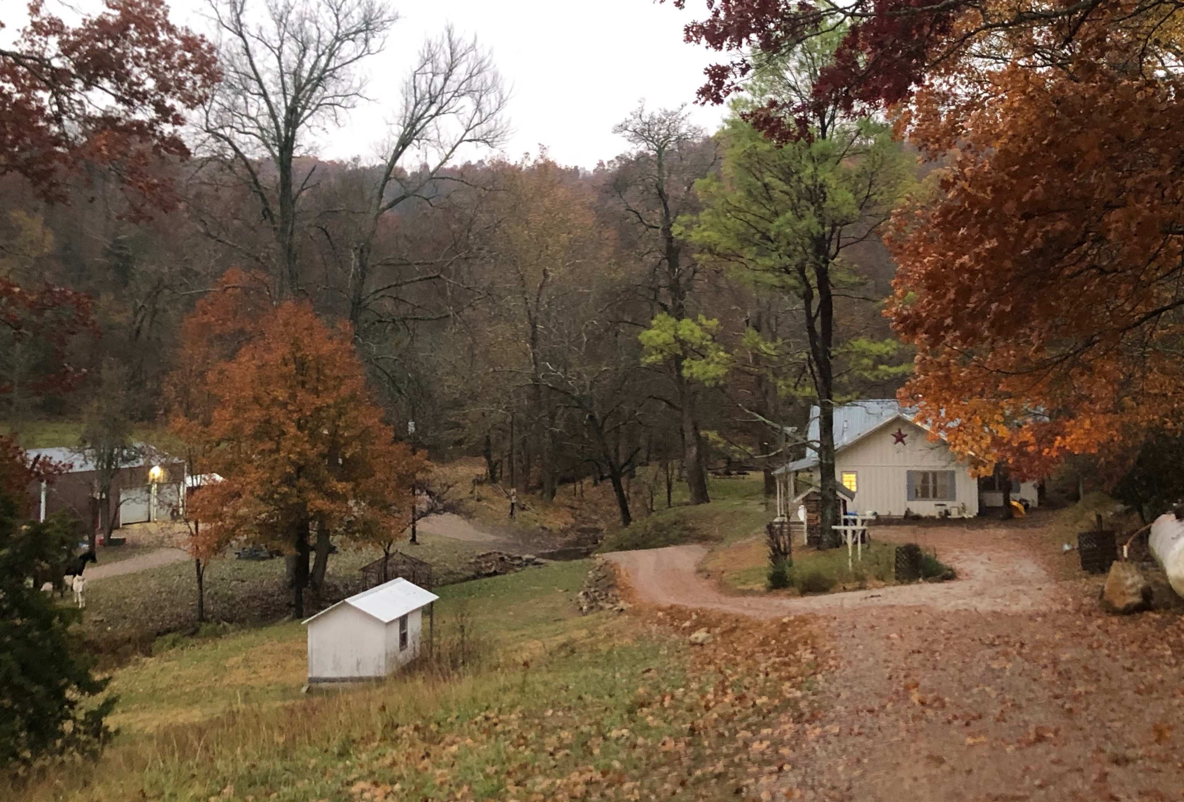 A gravel driveway leads to a white house surrounded by trees with autumn leaves, set in a rural area.