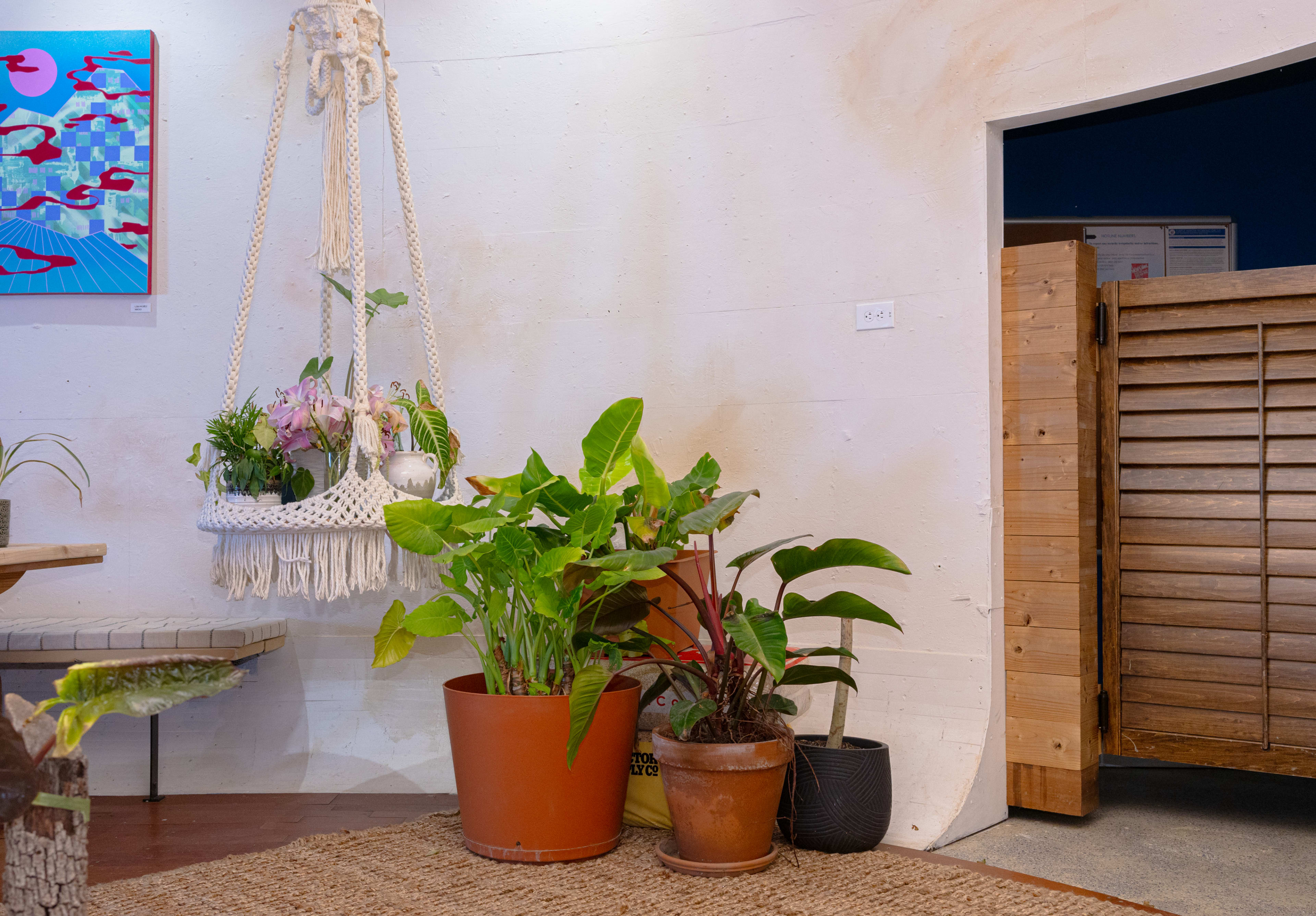 The image features a cozy indoor space with a hanging macramé planter, potted plants on the floor, and a wooden door partially open on the right.