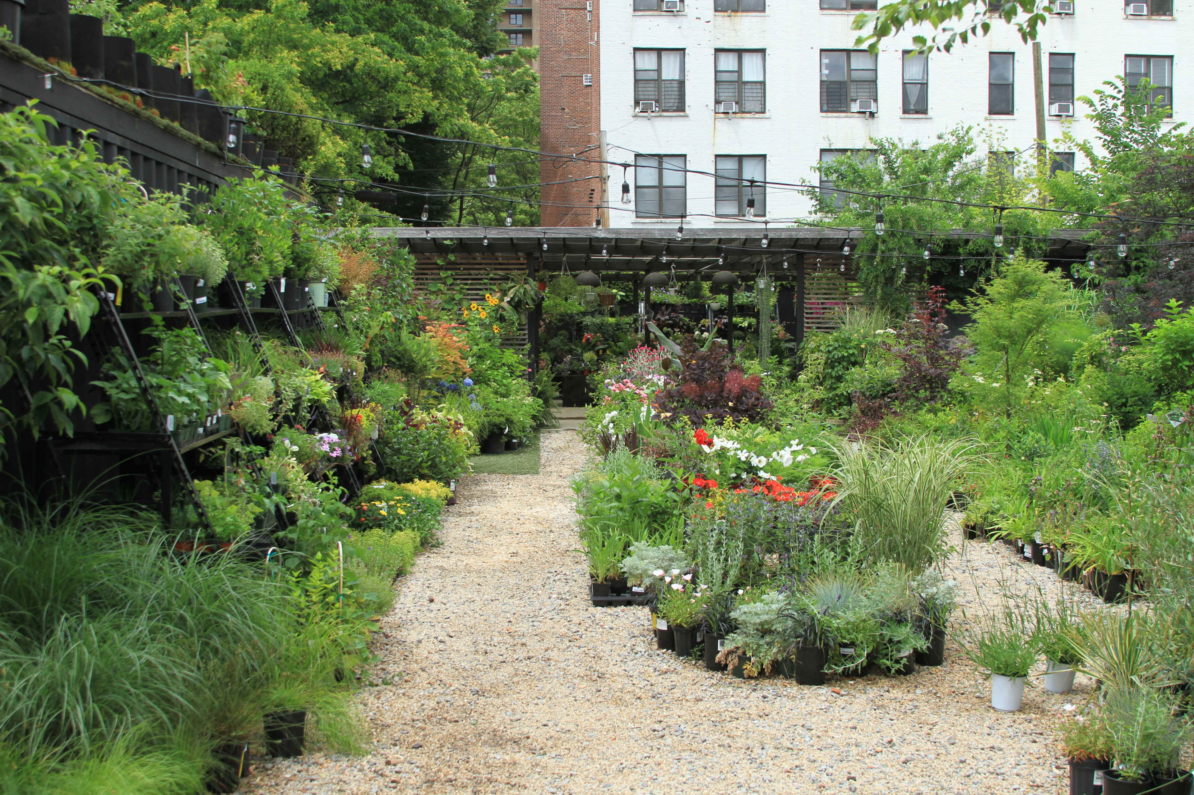 A garden center features rows of potted plants and flowers lining a path, set against a backdrop of a brick building.