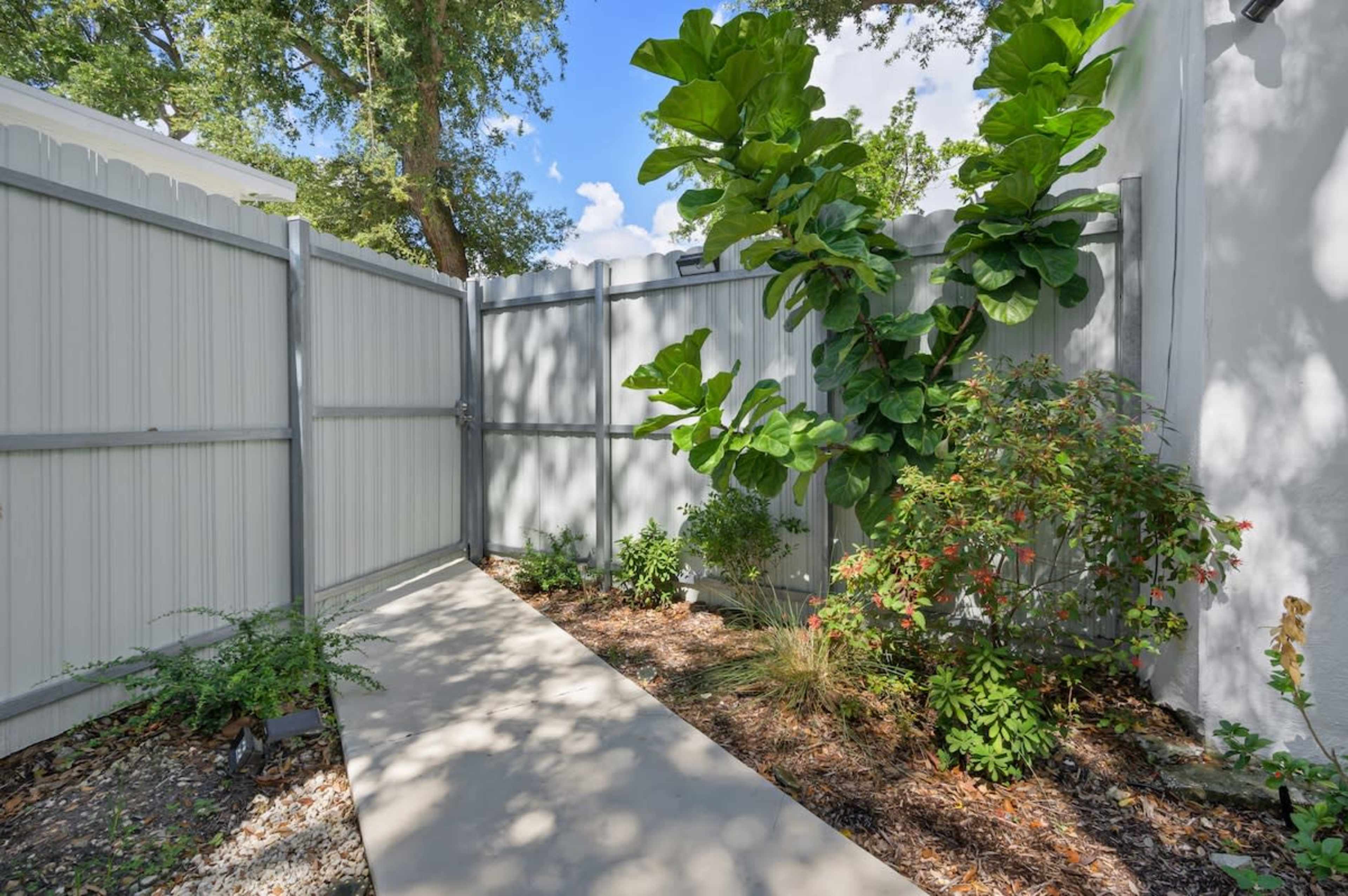 A concrete pathway leads through a fenced garden area featuring shrubs and a large leafy plant.