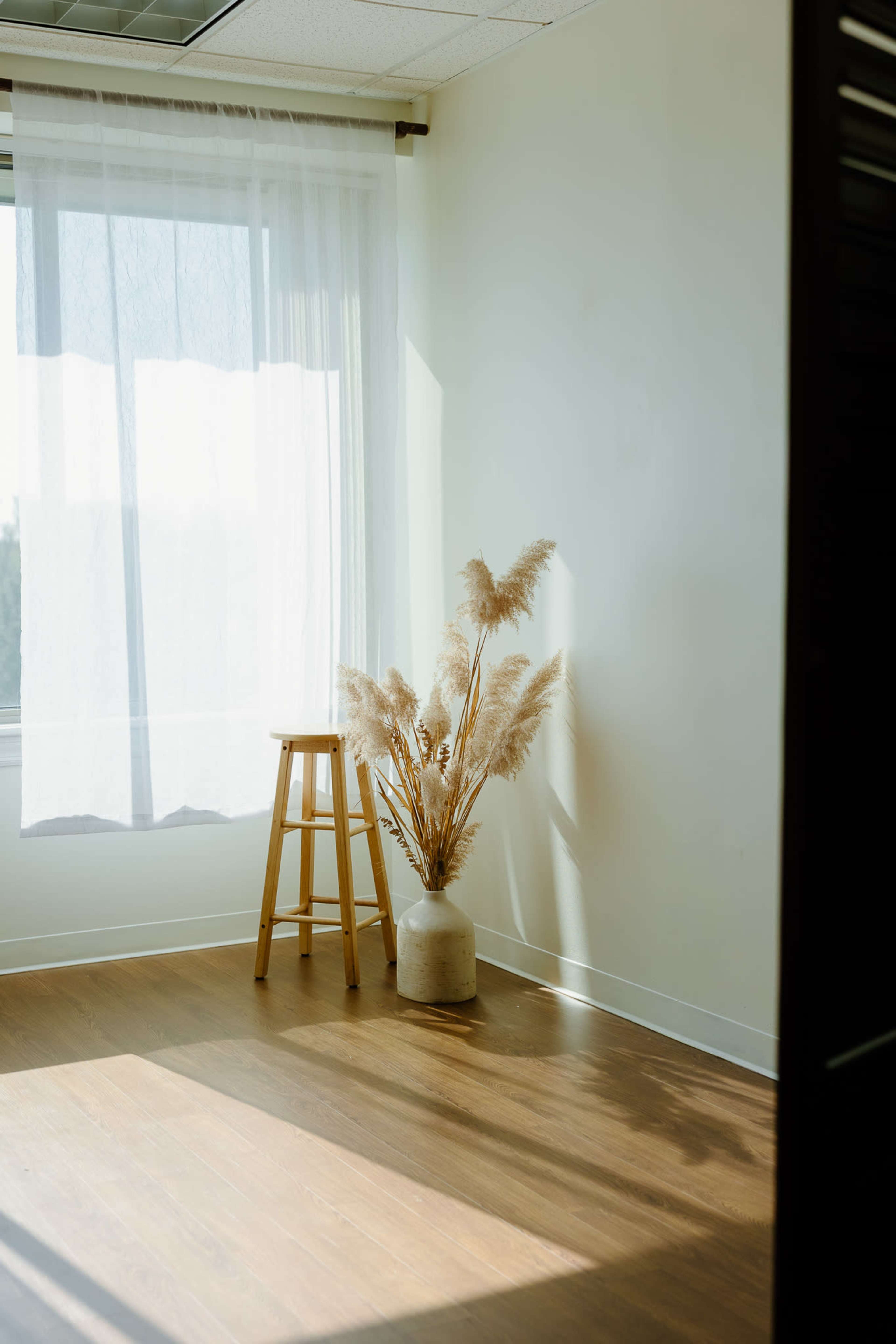 A wooden stool stands next to a potted plant with long, feathery stems in a sunlit corner of a room.