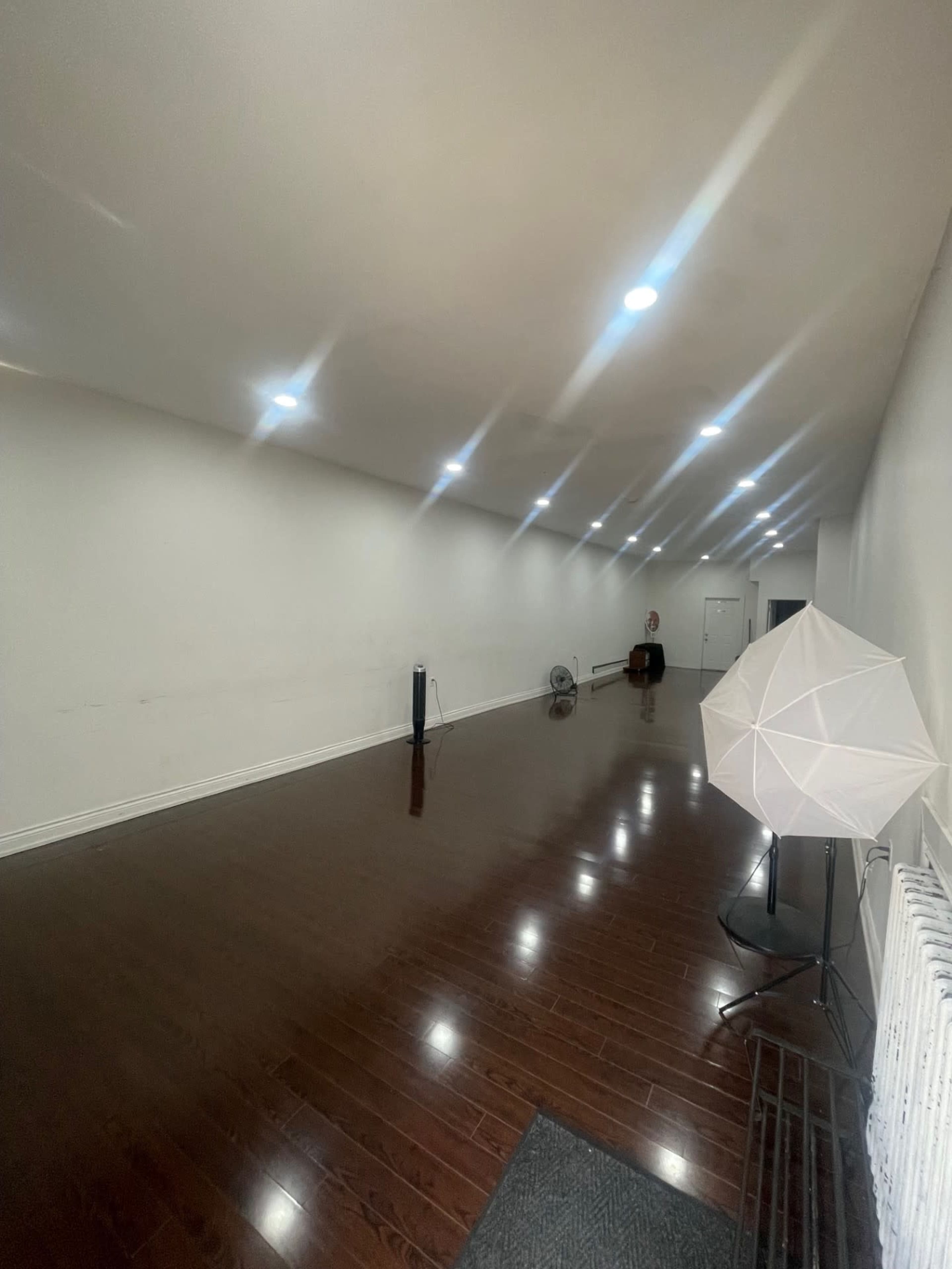 The image shows a spacious, well-lit room with hardwood flooring, featuring a fan, a light stand with a diffuser, and a door at the far end.